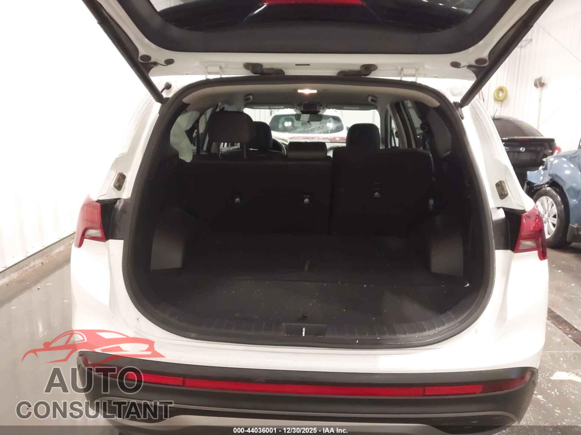 HYUNDAI SANTA FE 2023 - 5NMS2DAJ9PH633043
