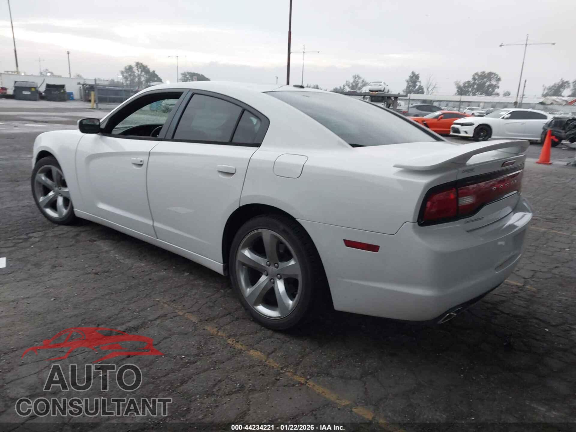 DODGE CHARGER 2014 - 2C3CDXHG9EH338970