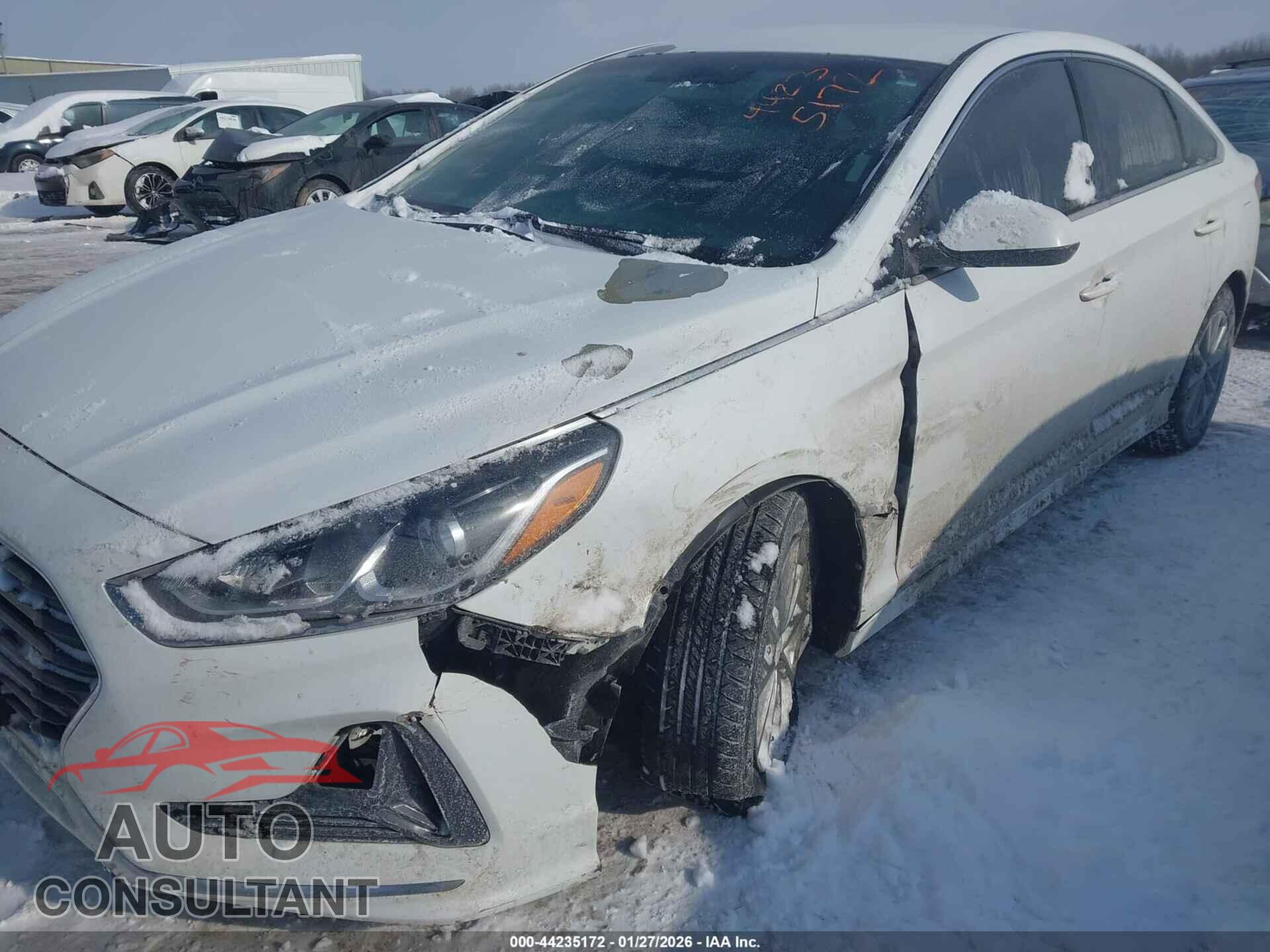 HYUNDAI SONATA 2019 - 5NPE24AF5KH761297