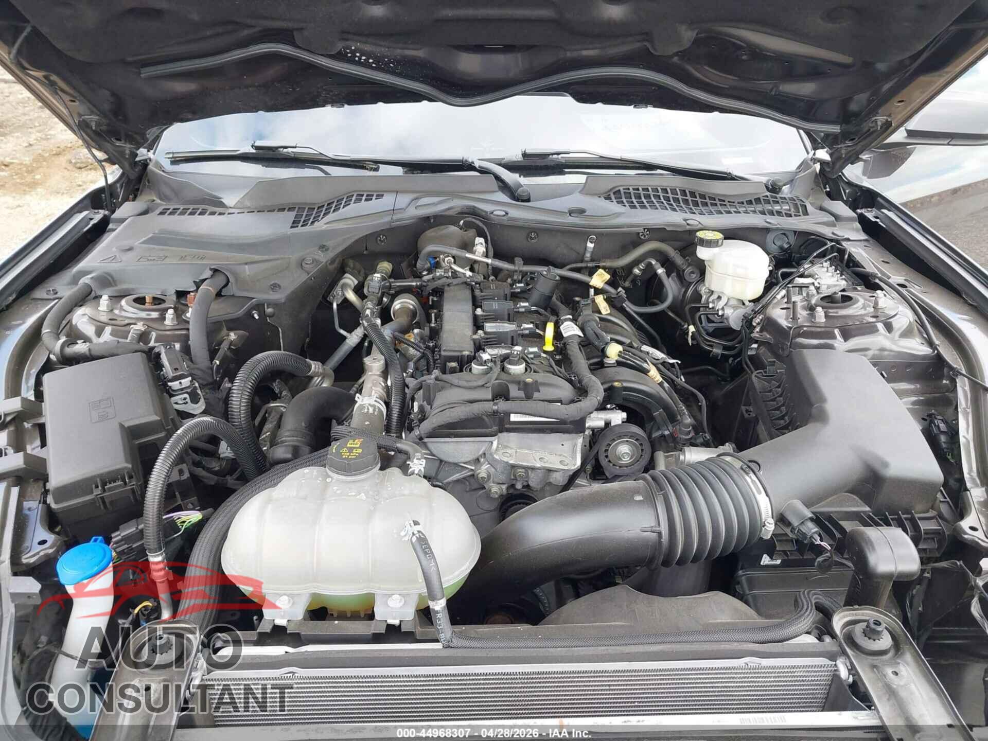 FORD MUSTANG 2023 - 1FA6P8TH7P5105997