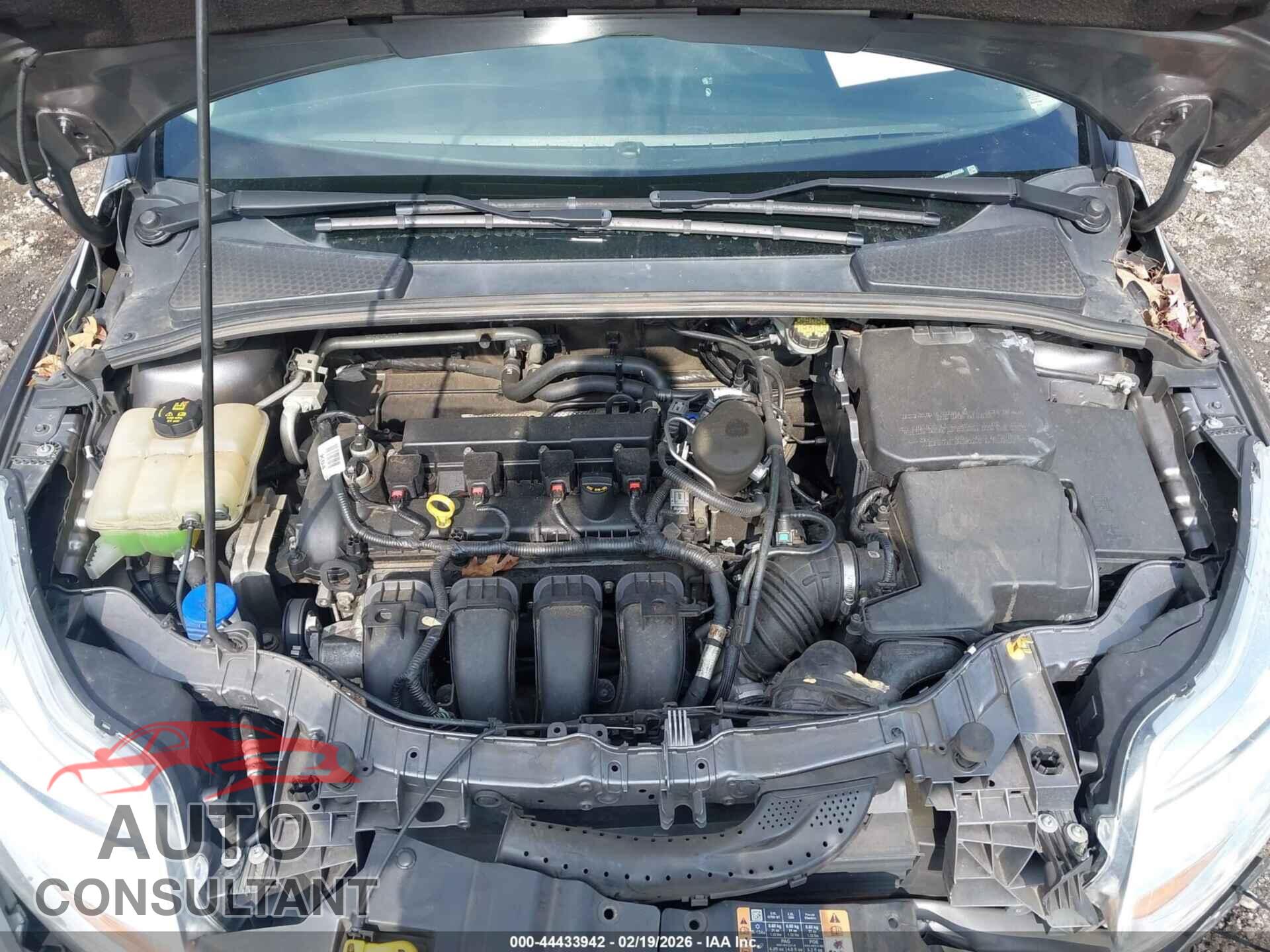 FORD FOCUS 2014 - 1FADP3F22EL435556