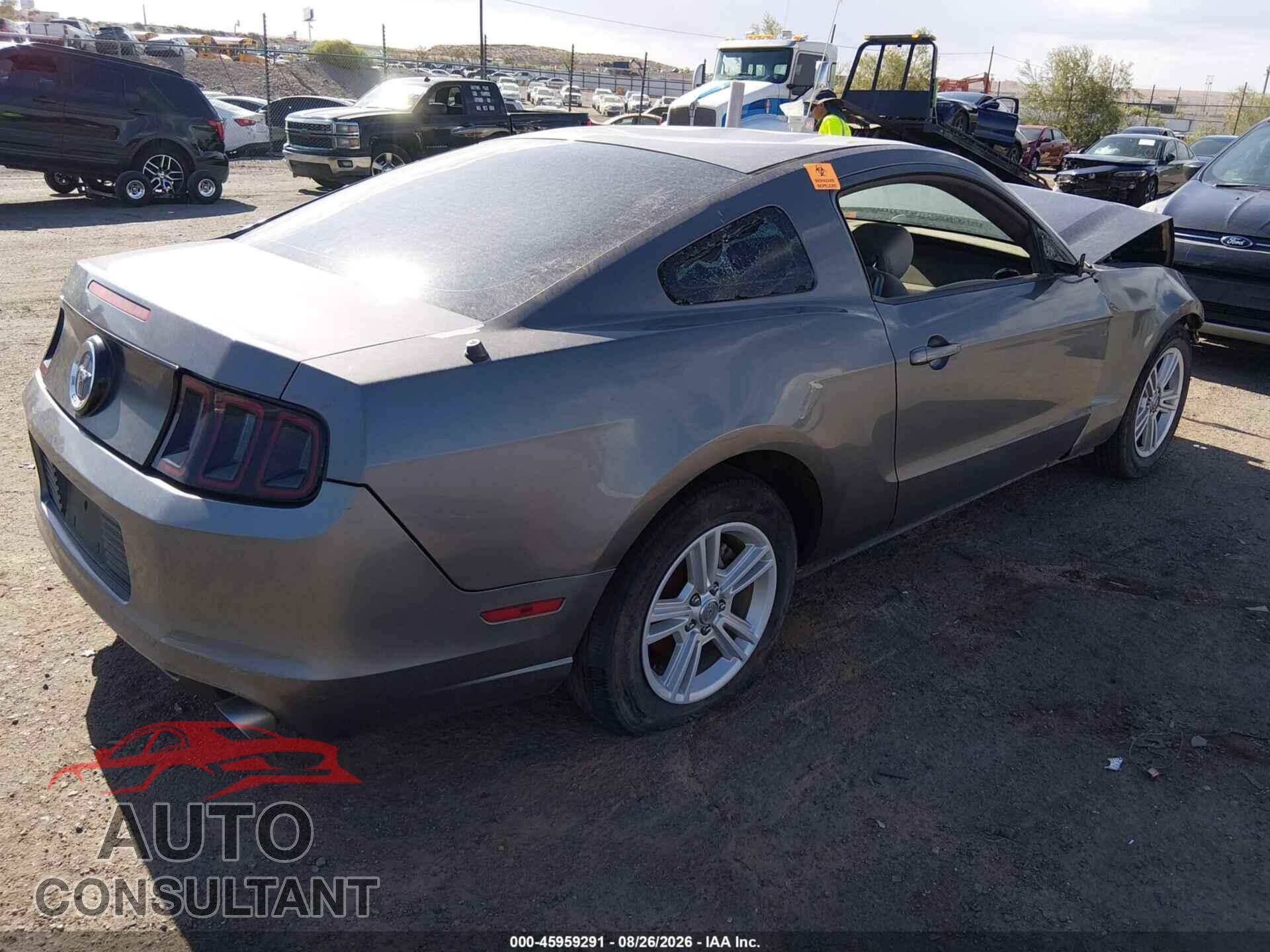 FORD MUSTANG 2013 - 1ZVBP8AM8D5249785