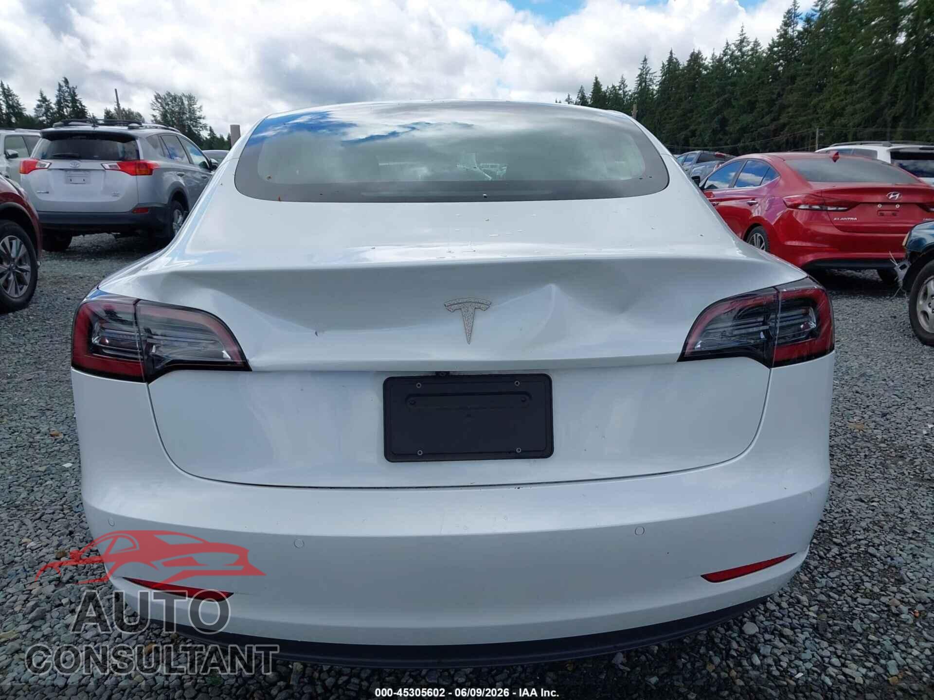 TESLA MODEL 3 2020 - 5YJ3E1EA8LF504842