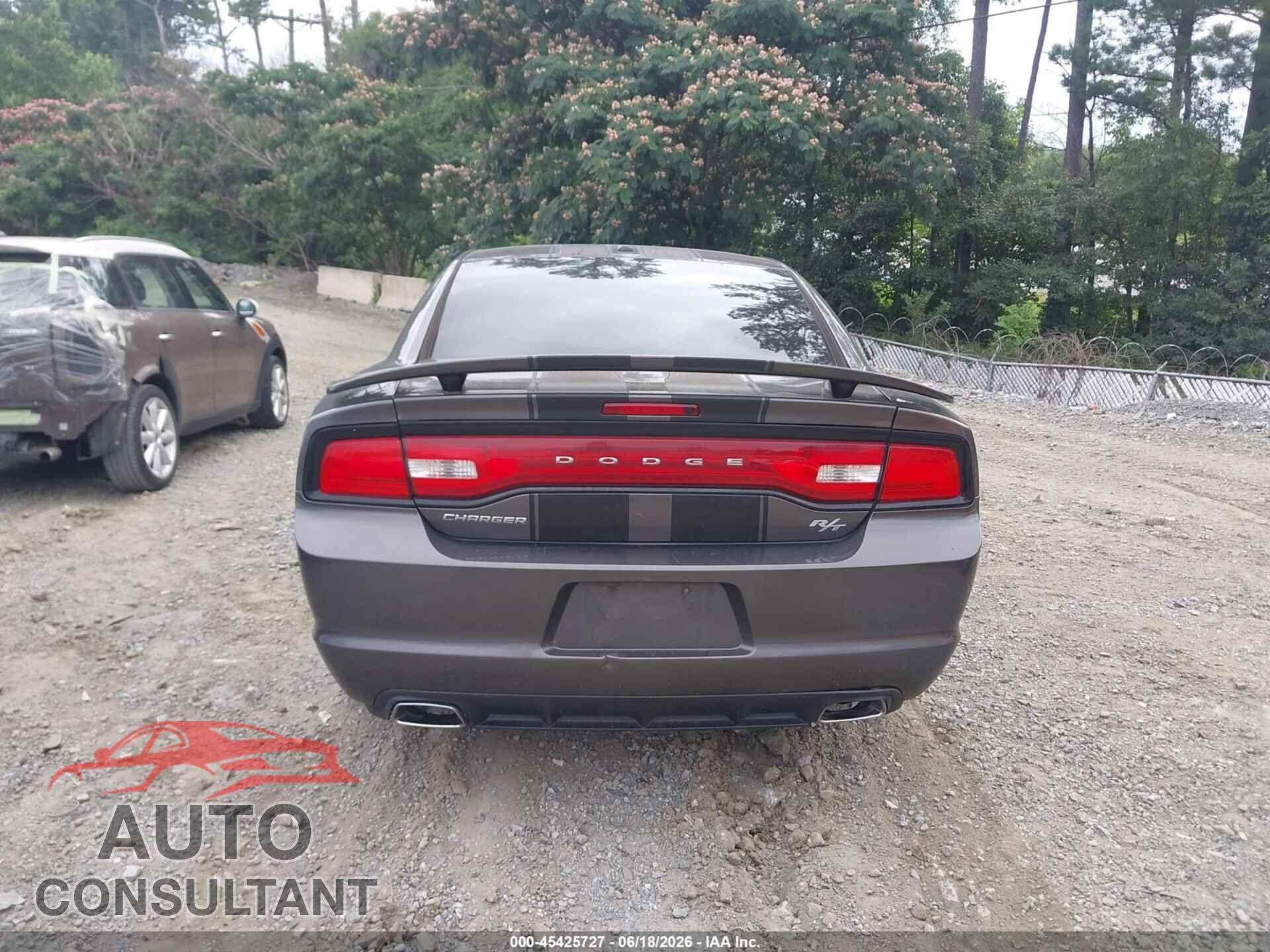 DODGE CHARGER 2014 - 2C3CDXCT1EH359977