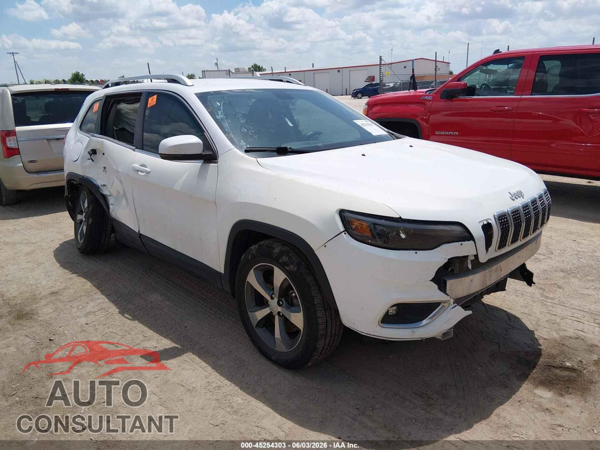 JEEP CHEROKEE 2019 - 1C4PJMDX9KD451854