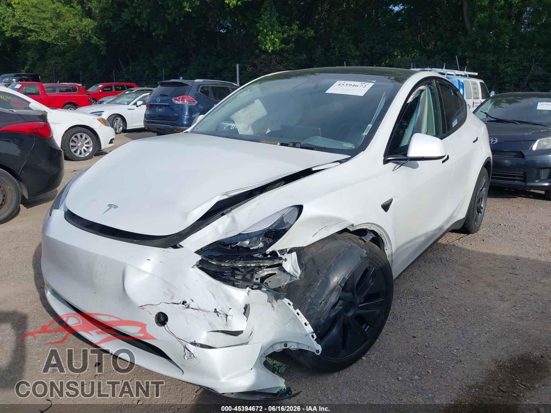 TESLA MODEL Y 2024 - 7SAYGAEE4RF201894