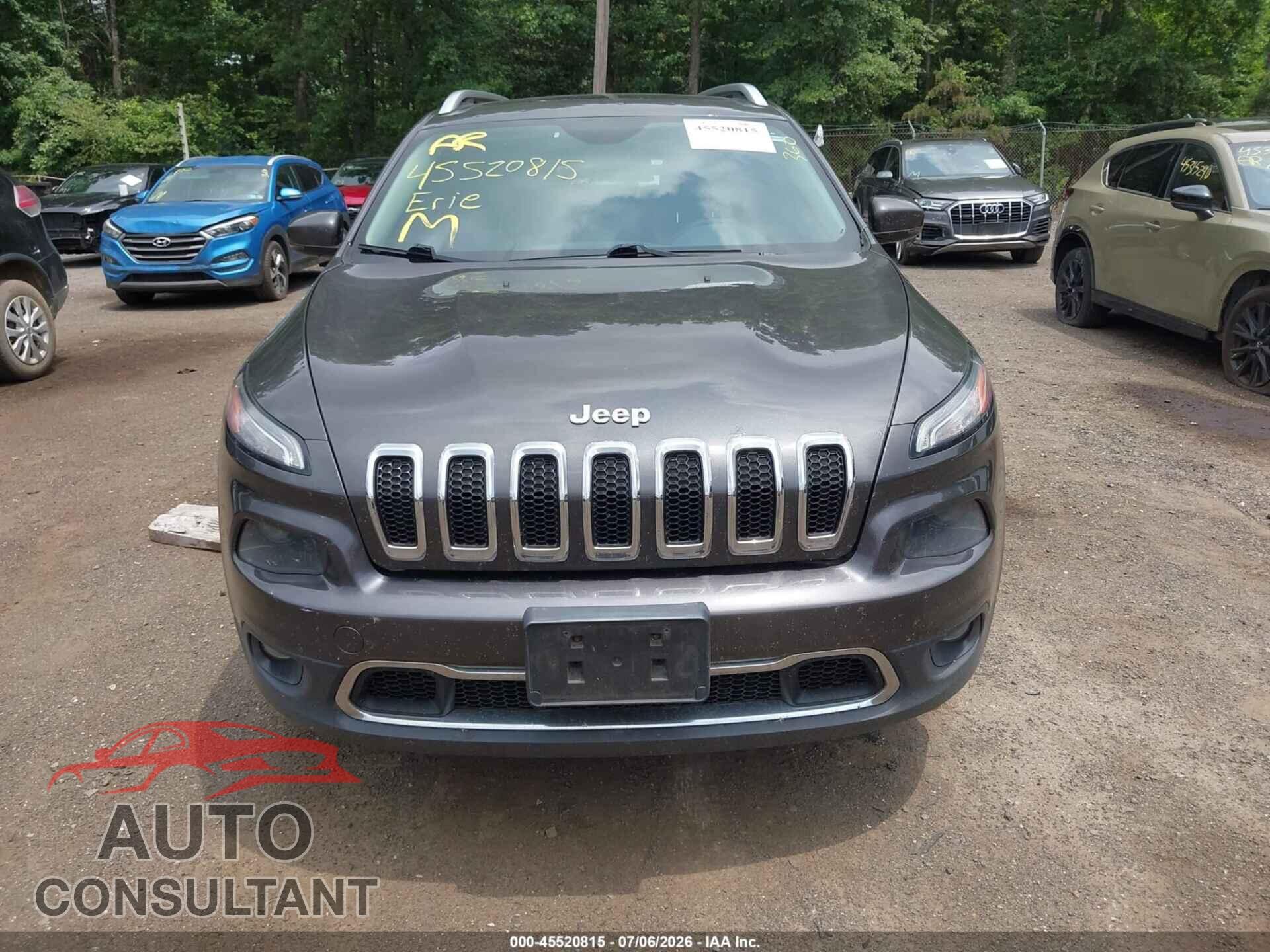 JEEP CHEROKEE 2014 - 1C4PJMDS2EW211316