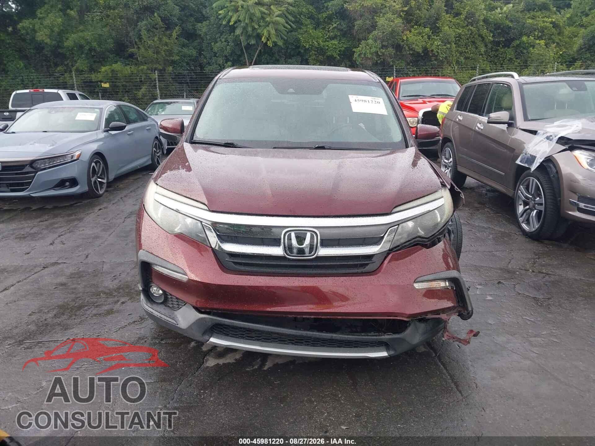 HONDA PILOT 2019 - 5FNYF6H55KB010080