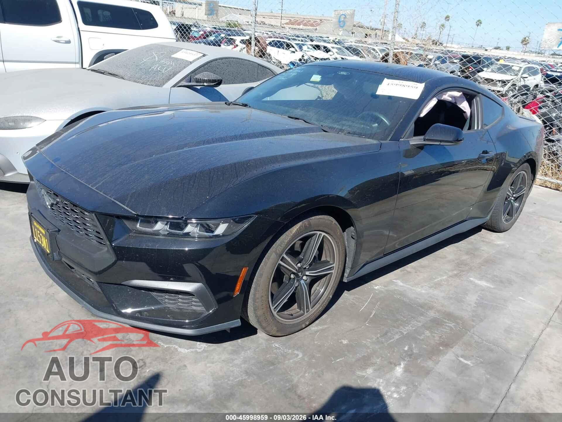 FORD MUSTANG 2024 - 1FA6P8TH3R5131256