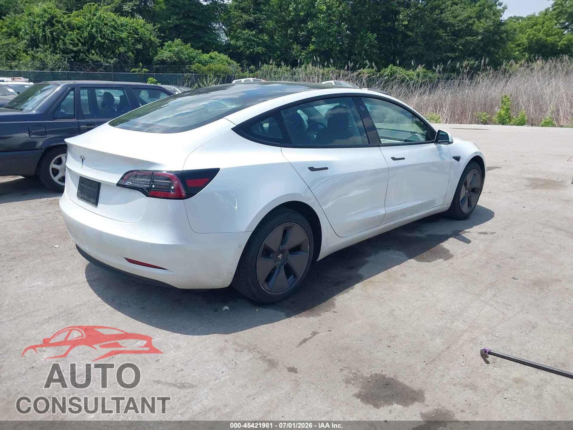 TESLA MODEL 3 2021 - 5YJ3E1EA5MF968995