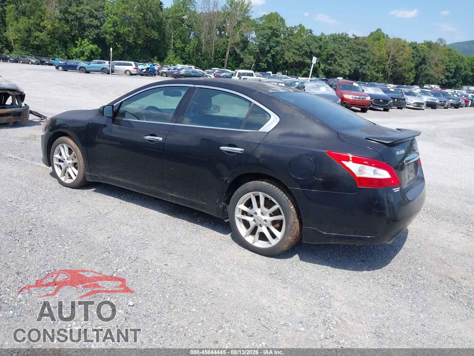 NISSAN MAXIMA 2011 - 1N4AA5AP8BC853375