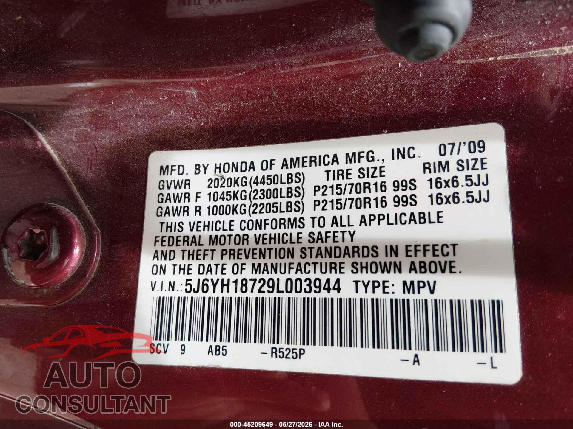 HONDA ELEMENT 2009 - 5J6YH18729L003944