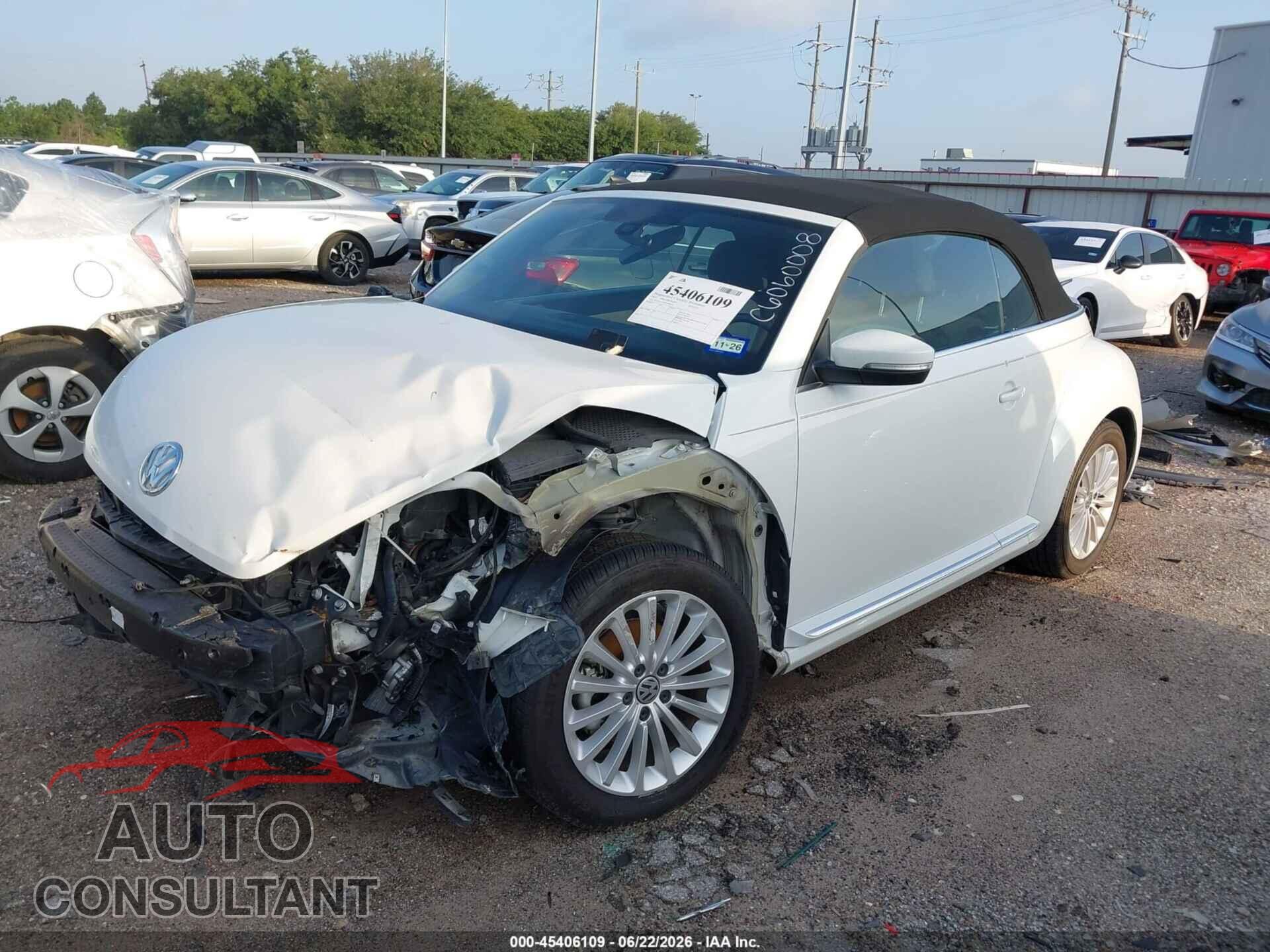 VOLKSWAGEN BEETLE 2019 - 3VW5DAAT9KM508540