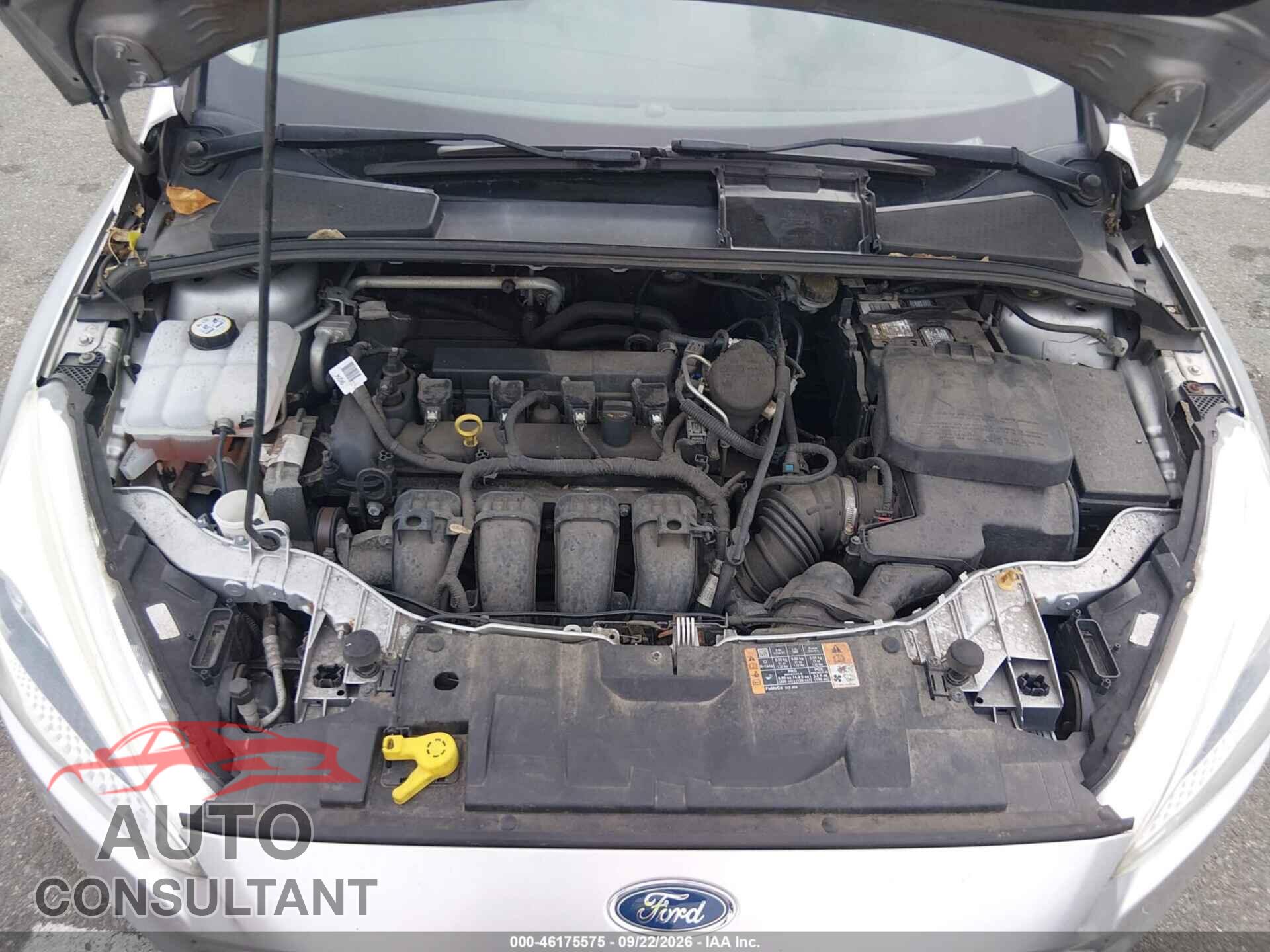 FORD FOCUS 2016 - 1FADP3E2XGL248232