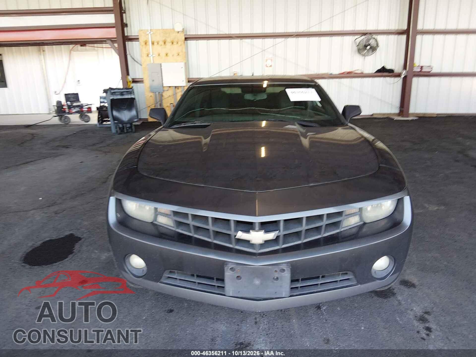 CHEVROLET CAMARO 2011 - 2G1FB1ED9B9126204