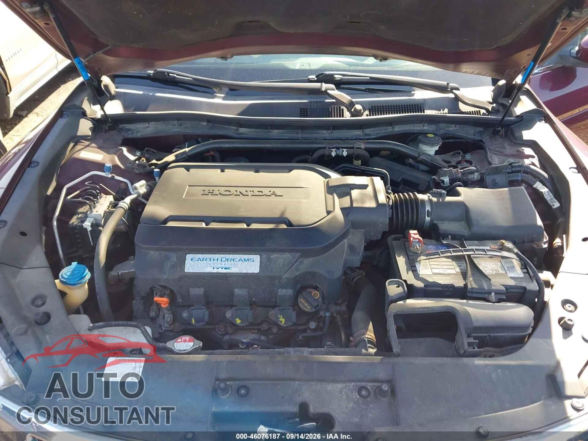 HONDA CROSSTOUR 2013 - 5J6TF2H52DL005299