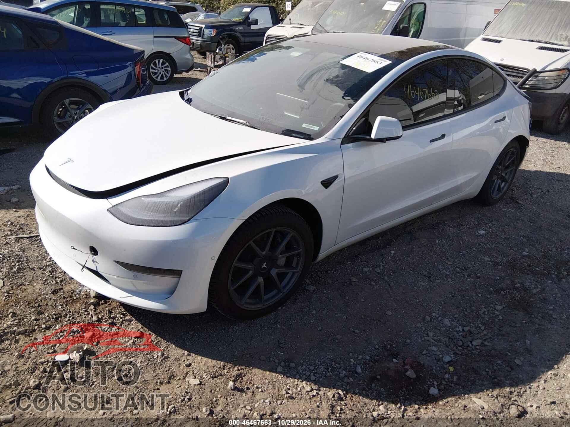 TESLA MODEL 3 2021 - 5YJ3E1EA2MF942676