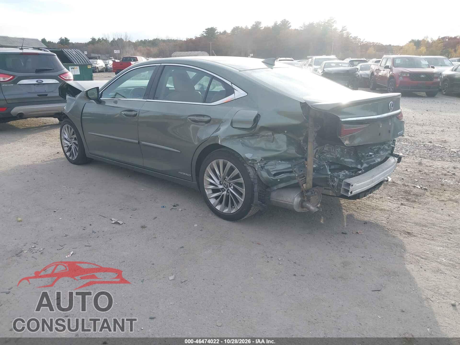 LEXUS ES 300H 2022 - 58AEA1C13NU013214