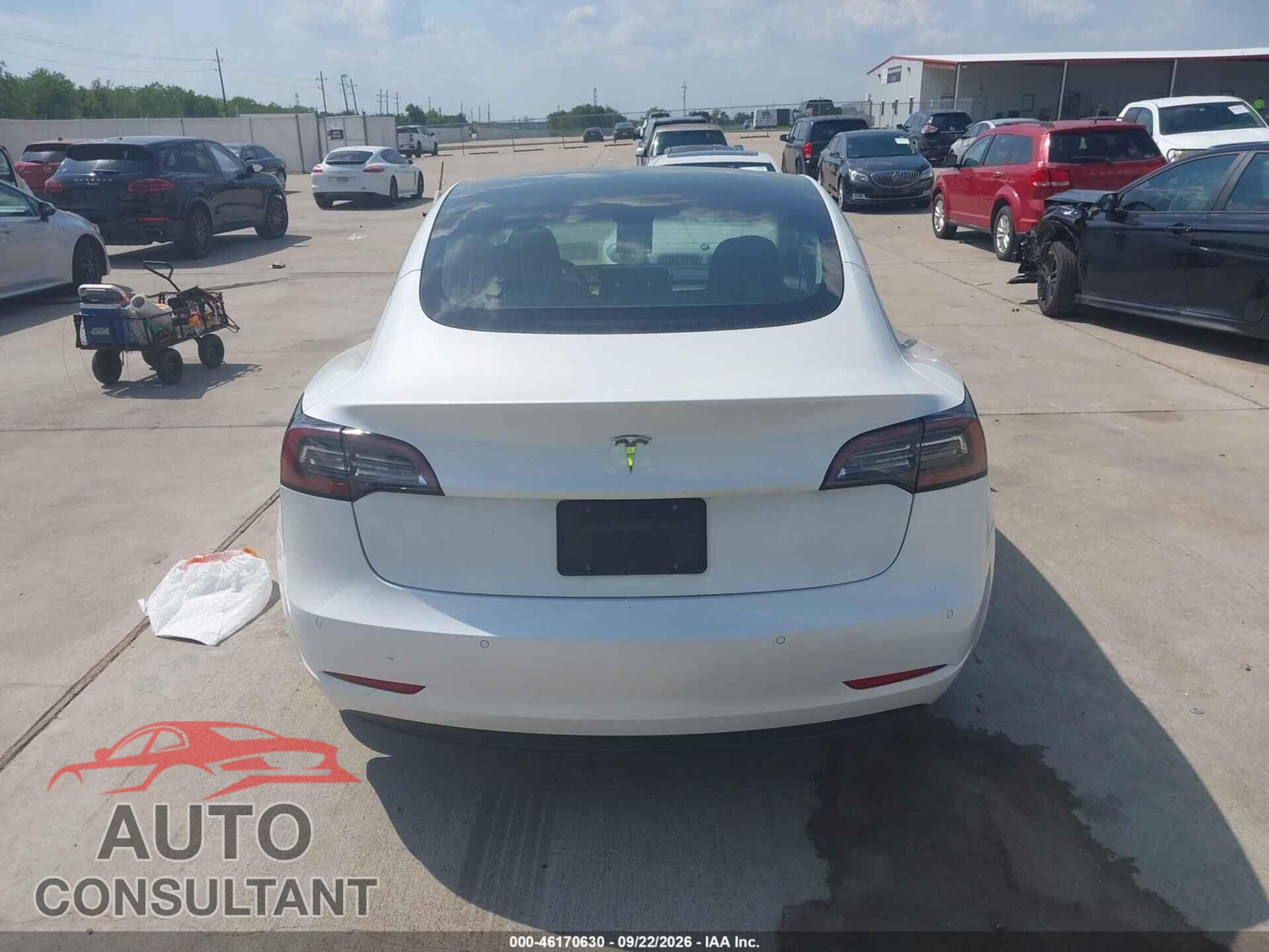 TESLA MODEL 3 2020 - 5YJ3E1EA5LF802359
