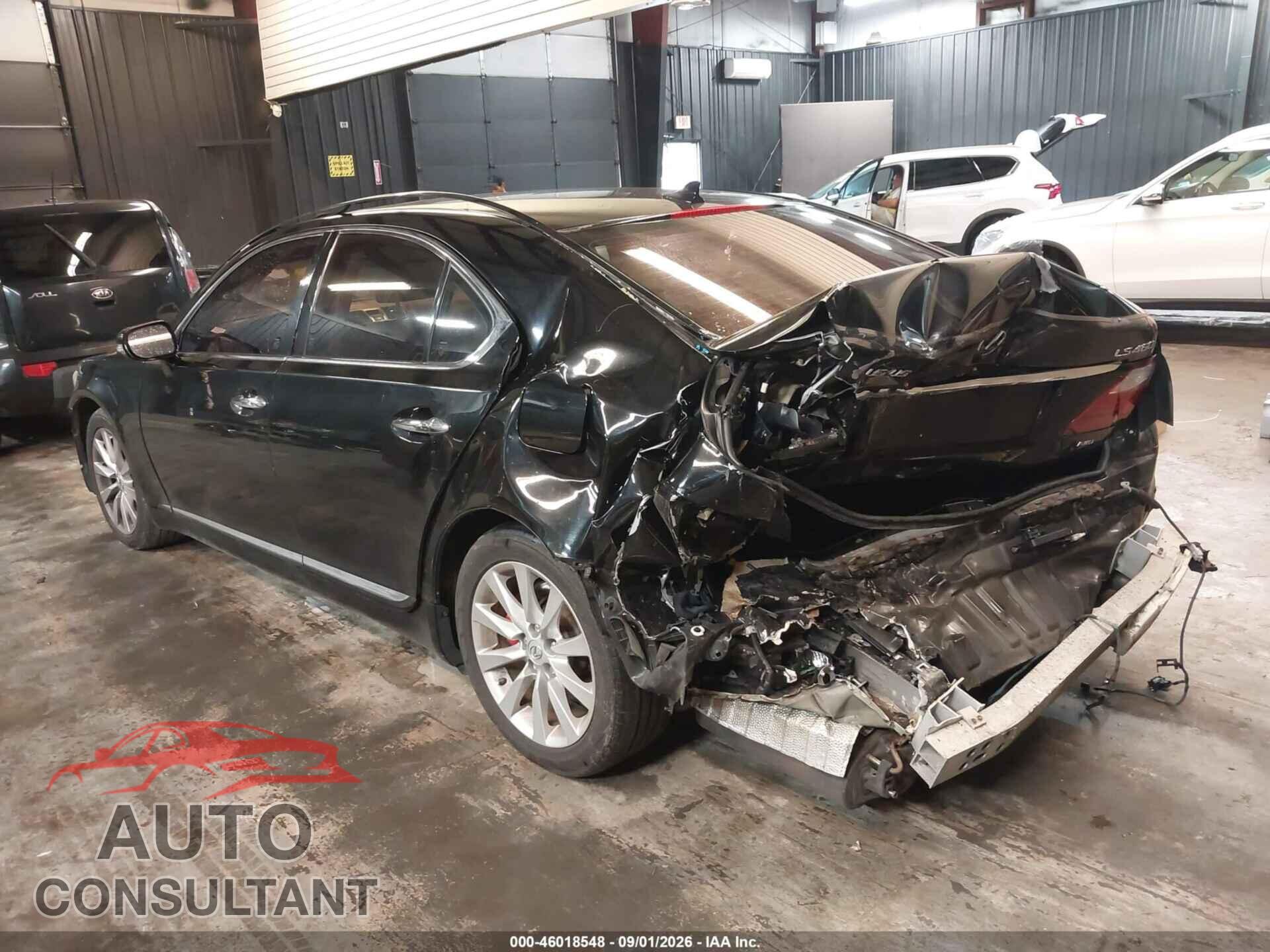 LEXUS LS 460 2010 - JTHCL5EF3A5007316