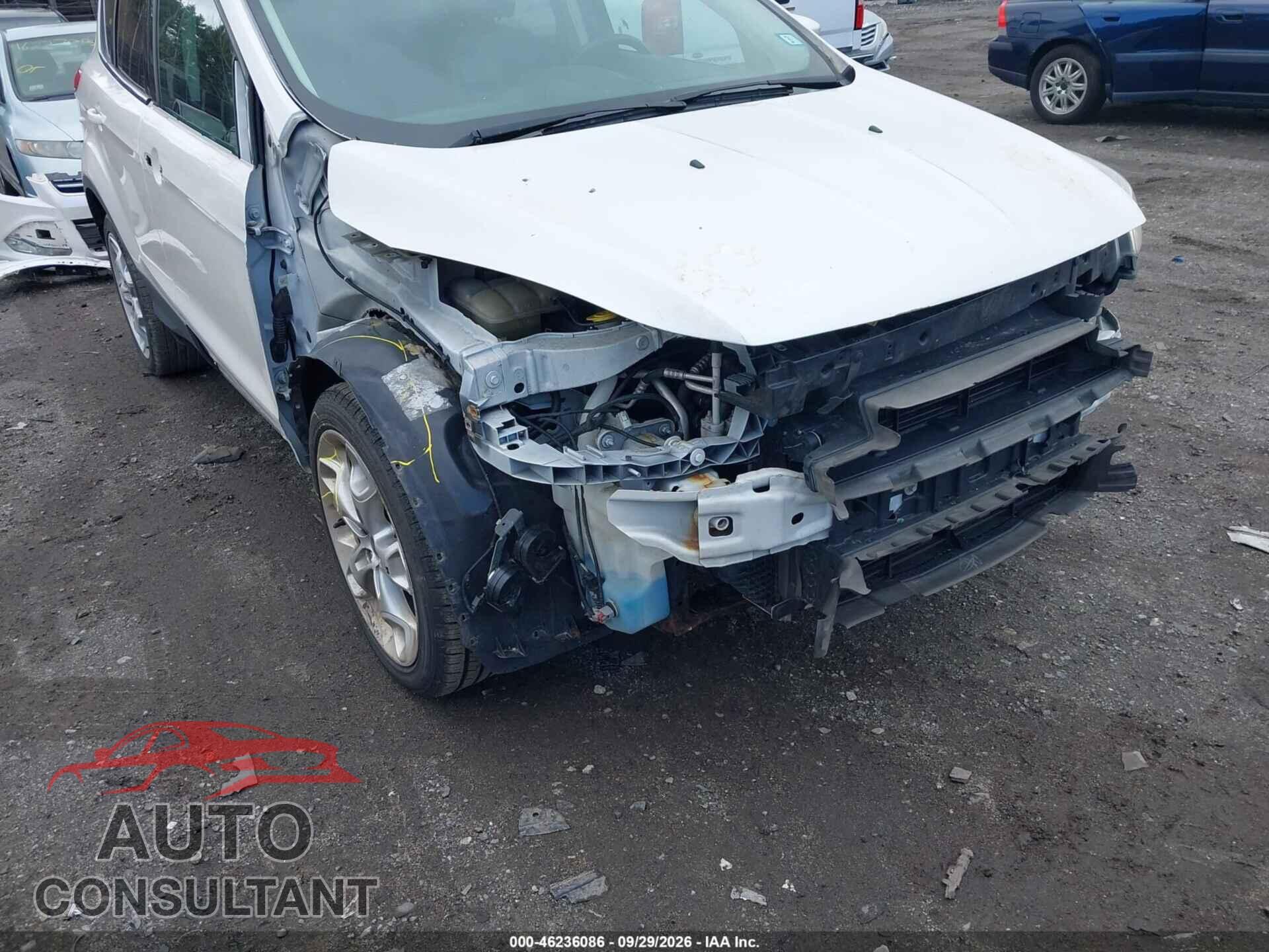 FORD ESCAPE 2016 - 1FMCU9JX2GUA88338