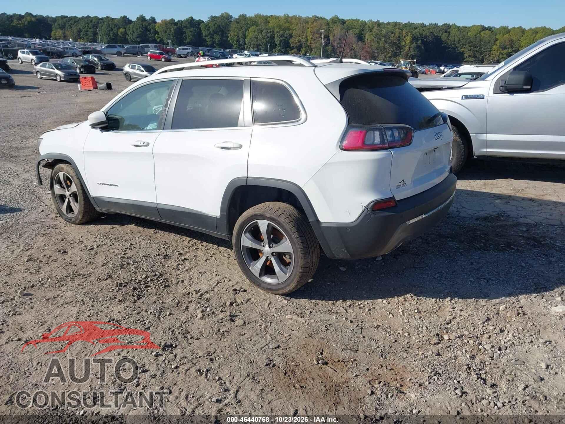 JEEP CHEROKEE 2019 - 1C4PJLDX6KD143230