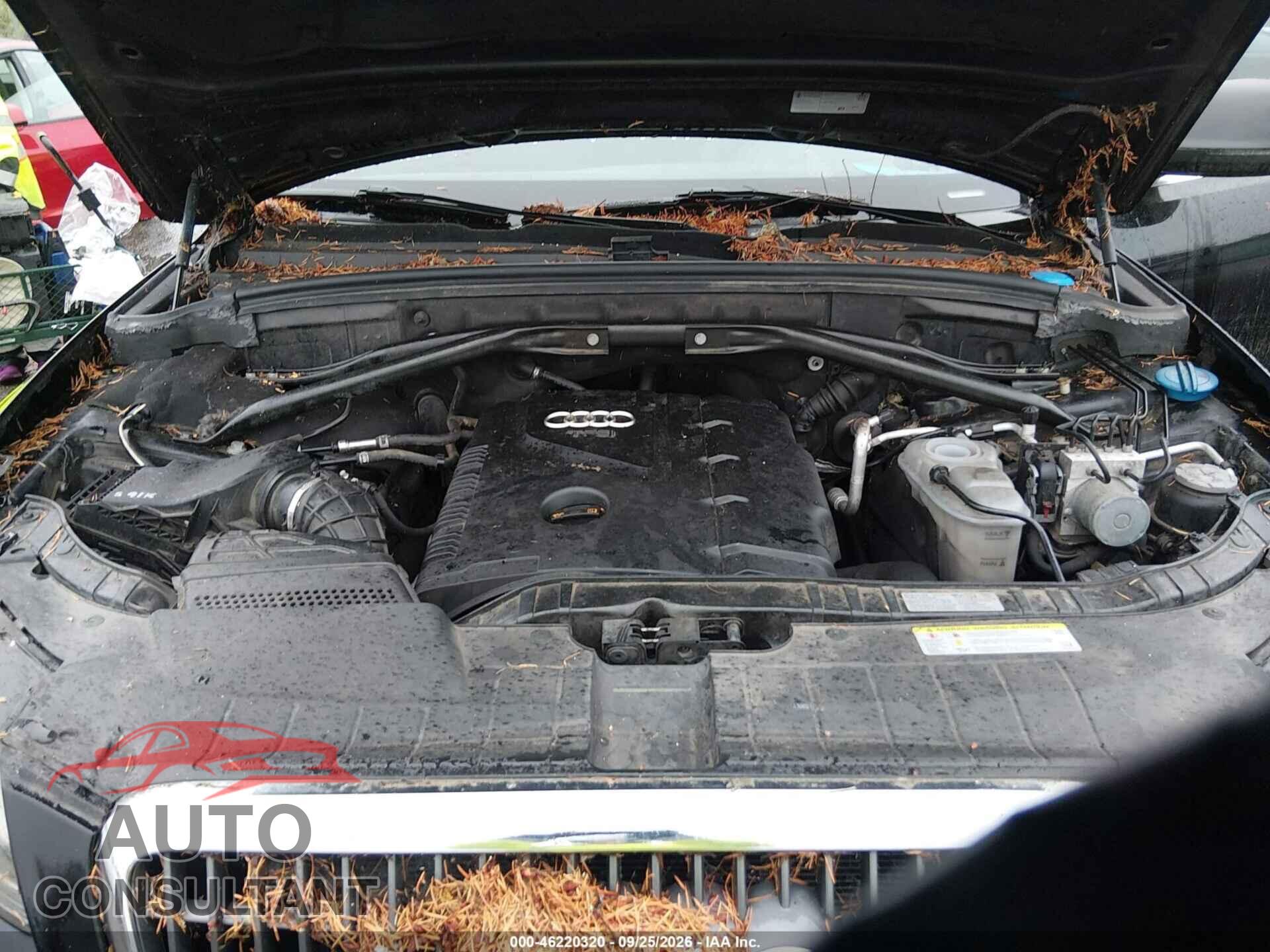 AUDI Q5 2011 - WA1CFAFP7BA087490