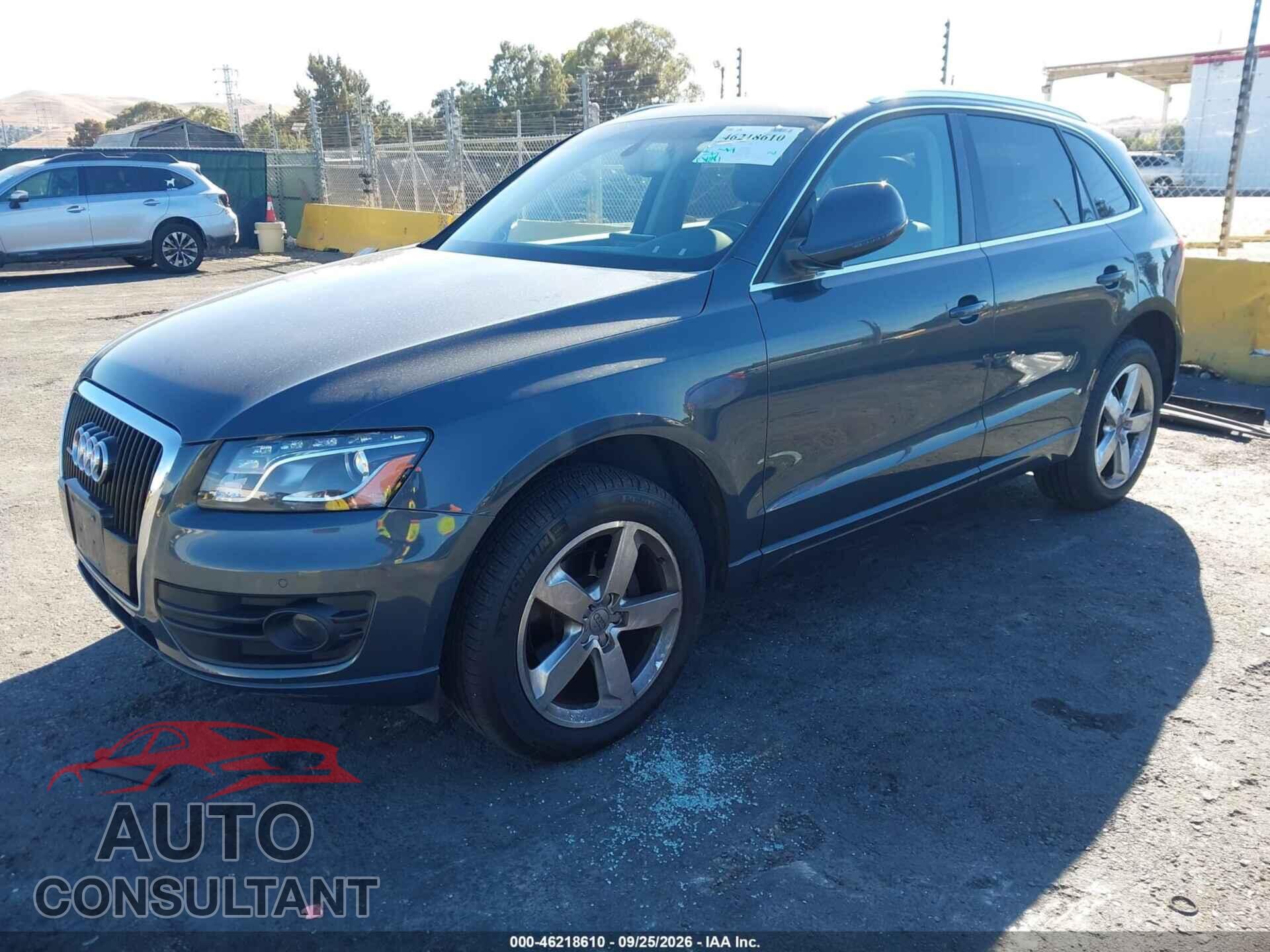 AUDI Q5 2010 - WA1VKAFP8AA094189