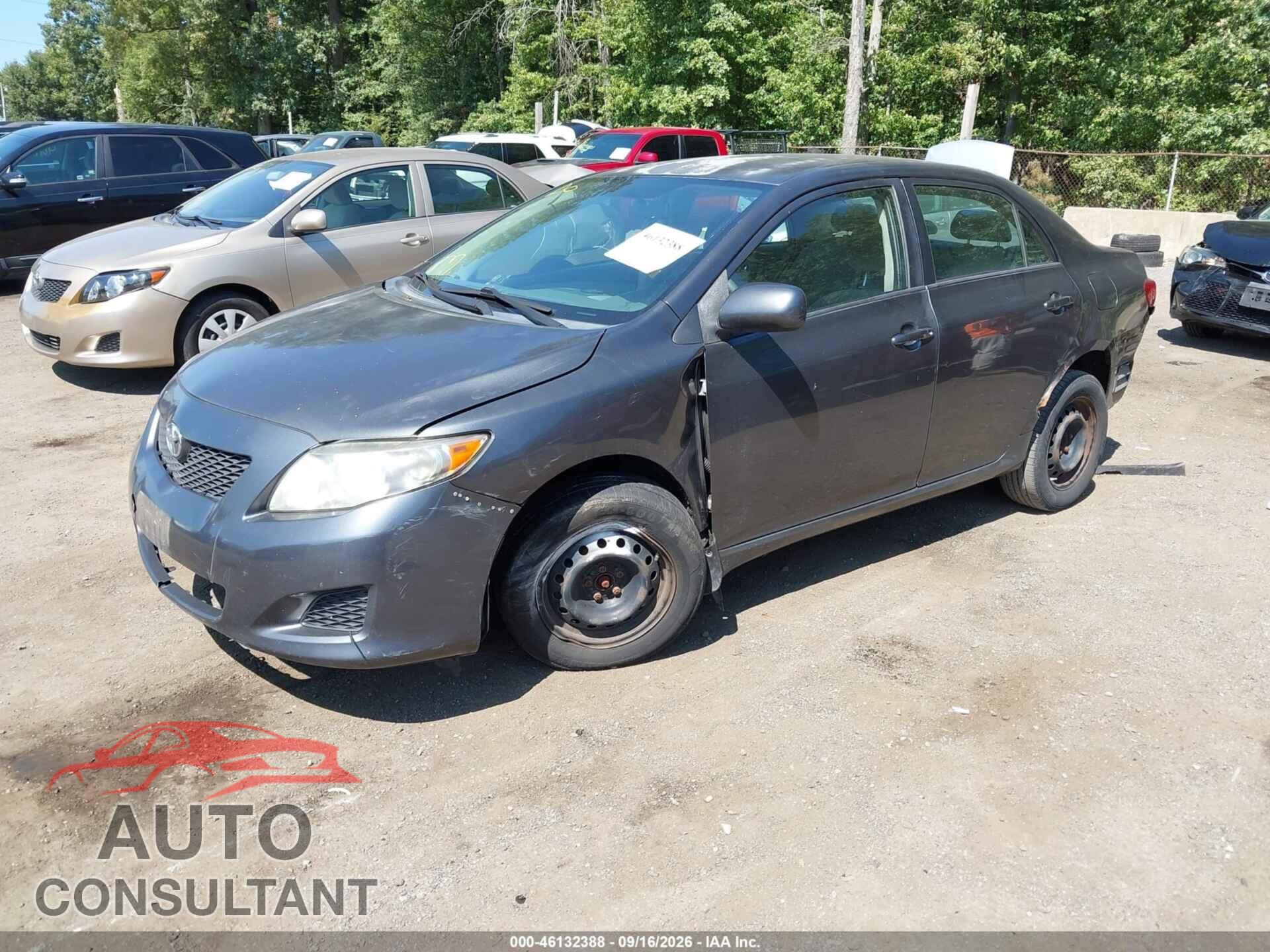 TOYOTA COROLLA 2010 - 2T1BU4EE3AC281081