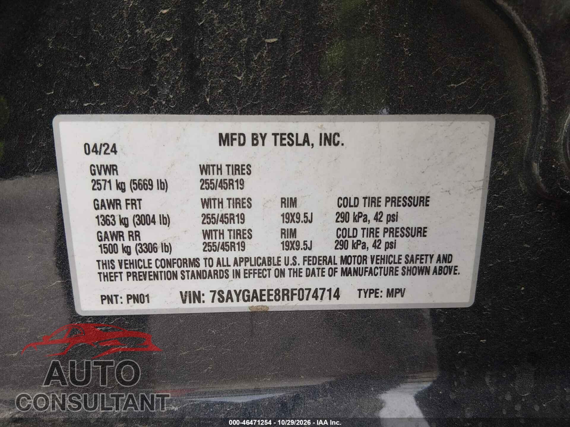 TESLA MODEL Y 2024 - 7SAYGAEE8RF074714