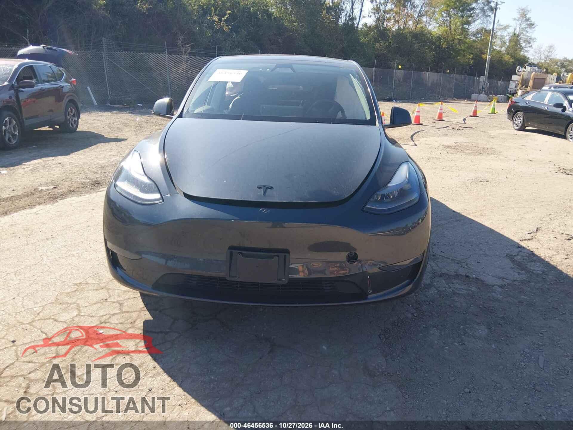 TESLA MODEL Y 2024 - 7SAYGDEE8RF085875