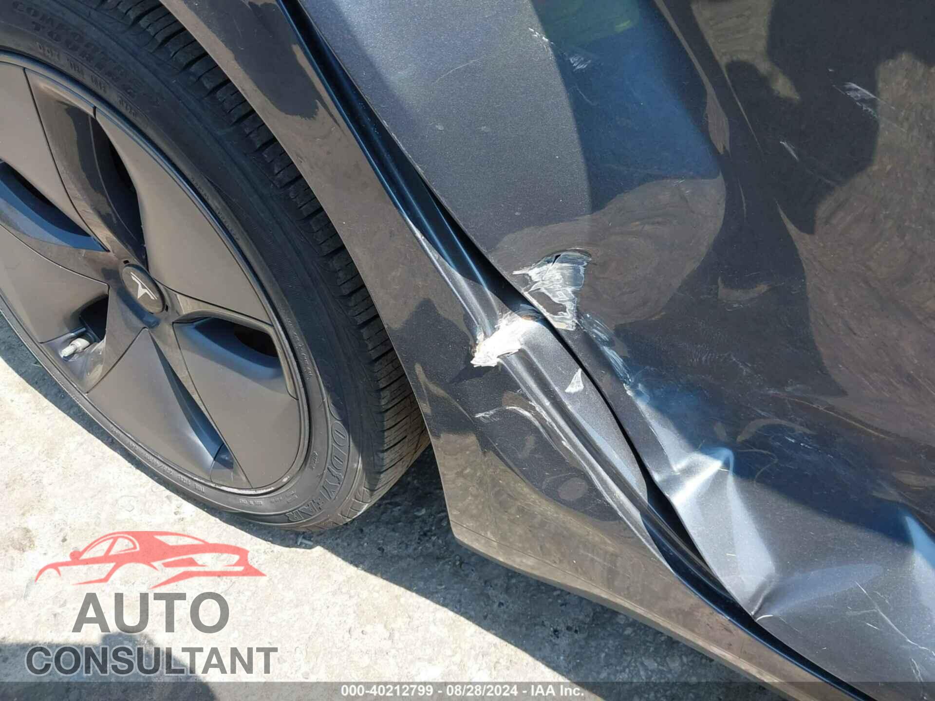 TESLA MODEL 3 2019 - 5YJ3E1EA8KF307250