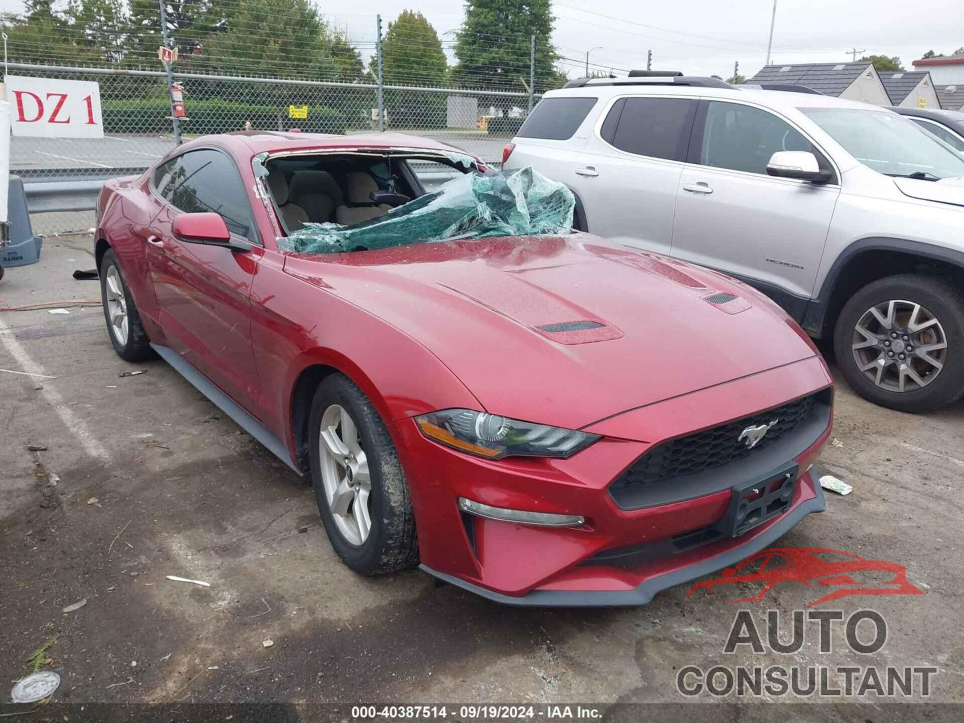 FORD MUSTANG 2019 - 1FA6P8TH0K5194160