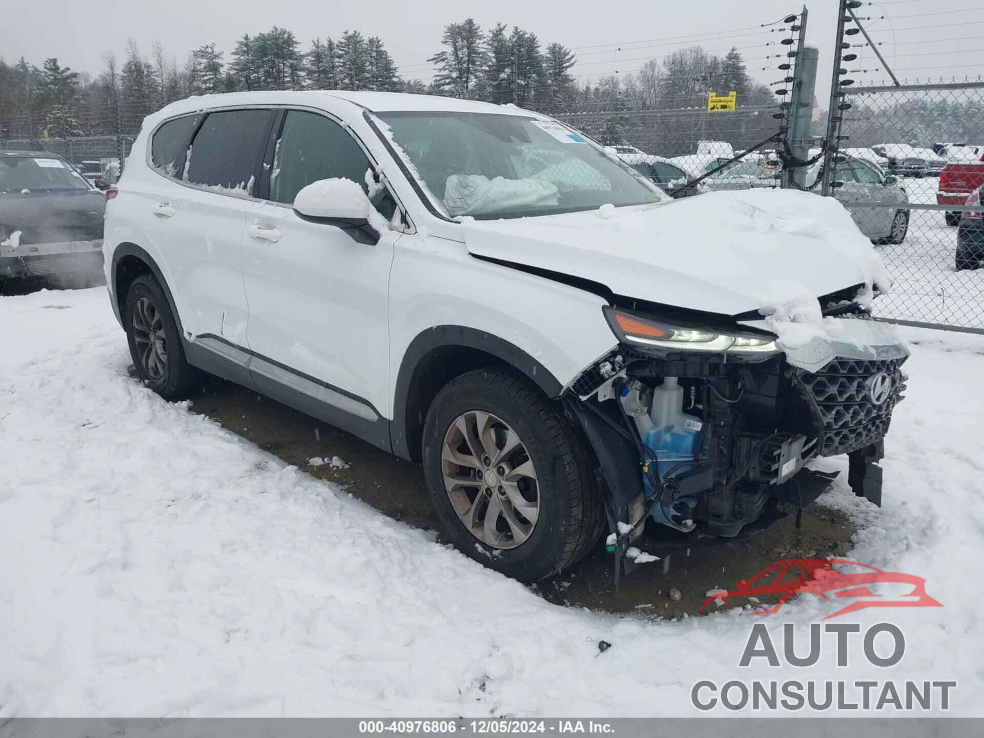 HYUNDAI SANTA FE 2019 - 5NMS2CAD3KH072142