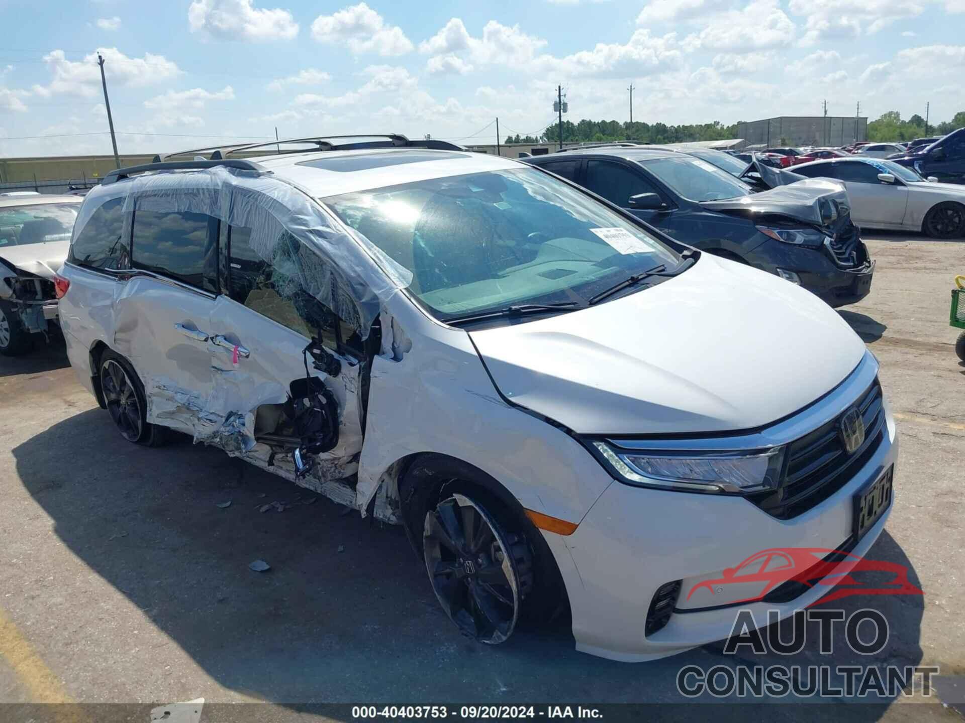 HONDA ODYSSEY 2024 - 5FNRL6H96RB005903