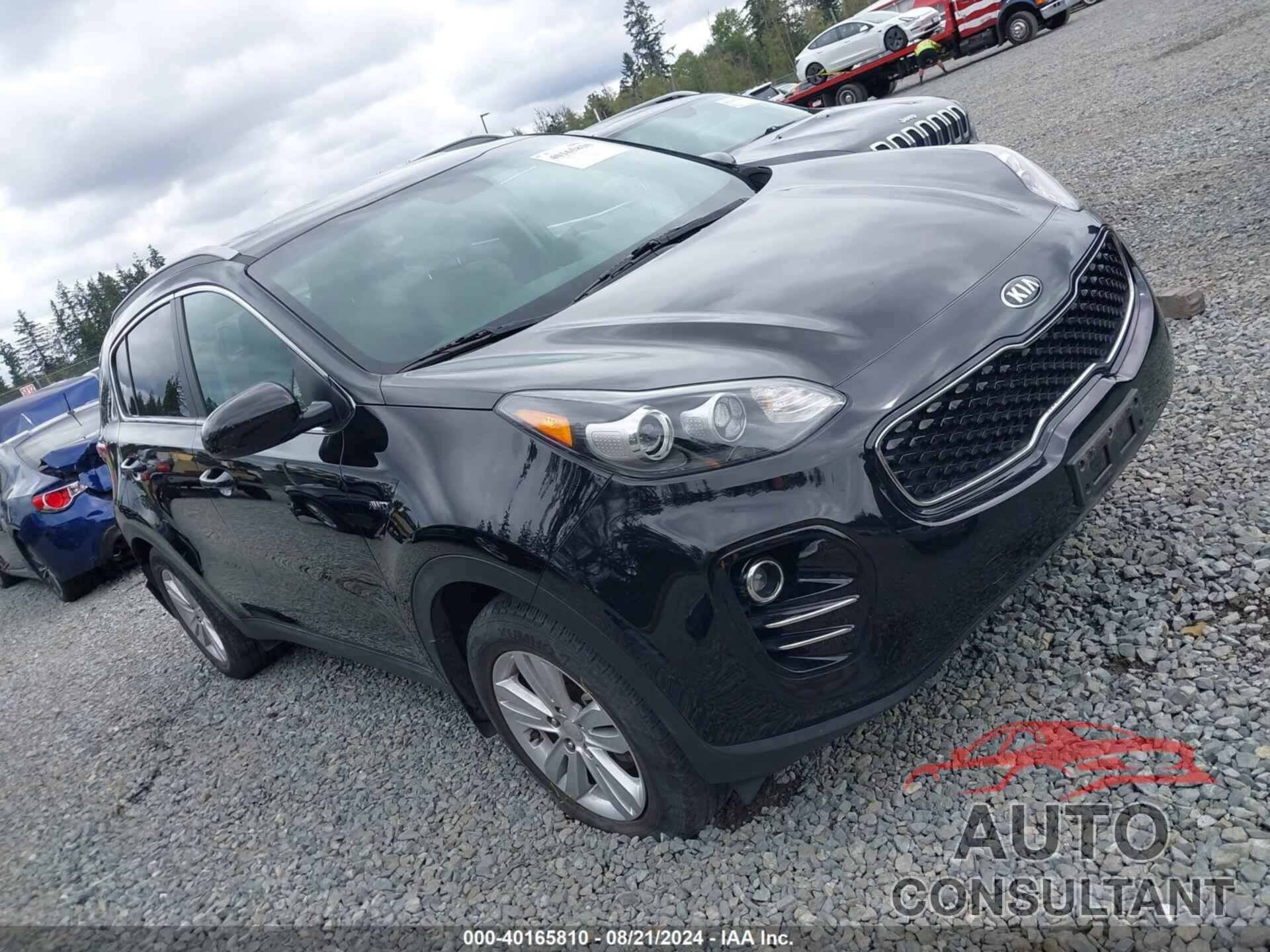 KIA SPORTAGE 2017 - KNDPMCAC5H7244694