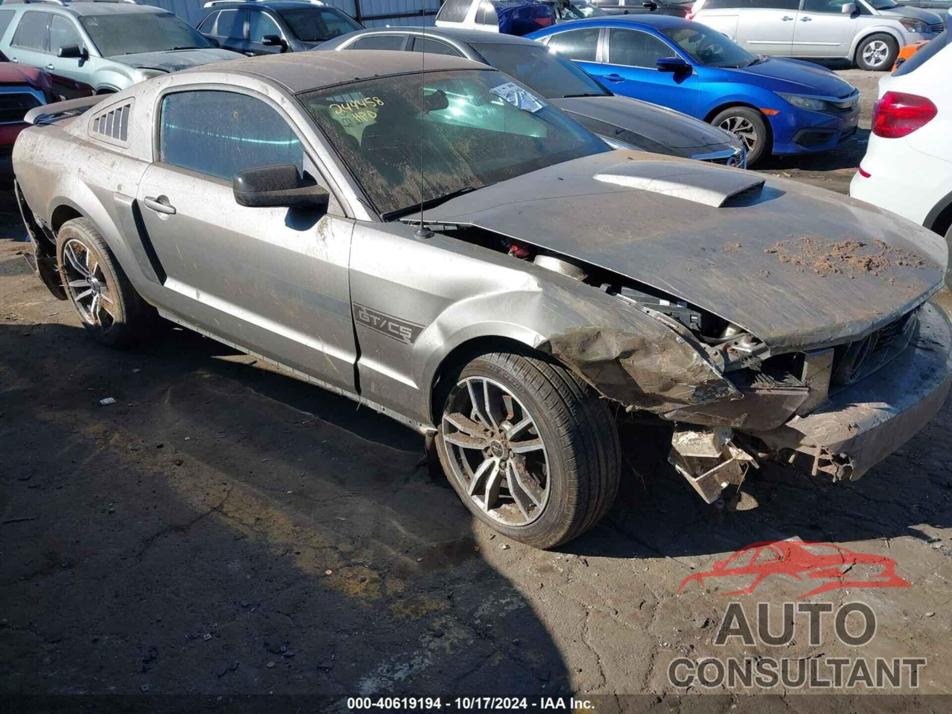 FORD MUSTANG 2009 - 1ZVHT82H595144930