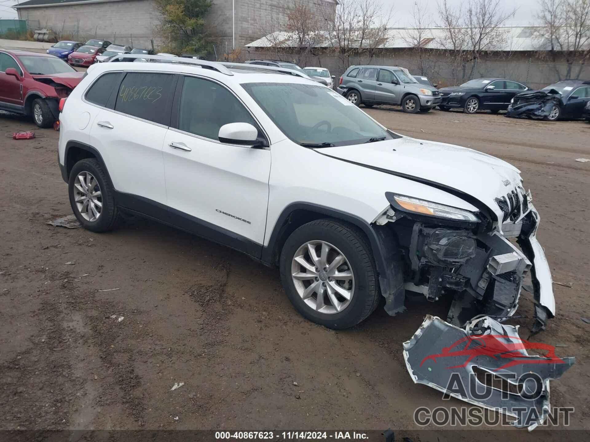 JEEP CHEROKEE 2017 - 1C4PJMDB9HW555486