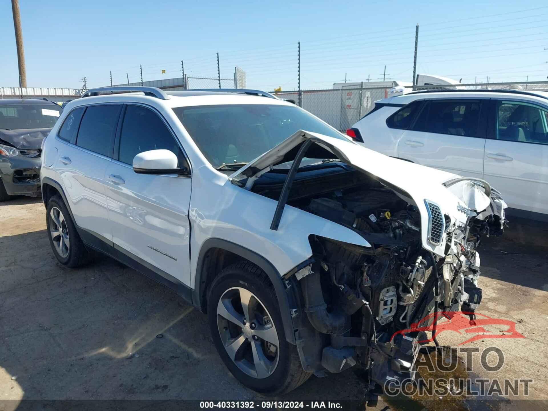 JEEP CHEROKEE 2019 - 1C4PJMDN3KD124073