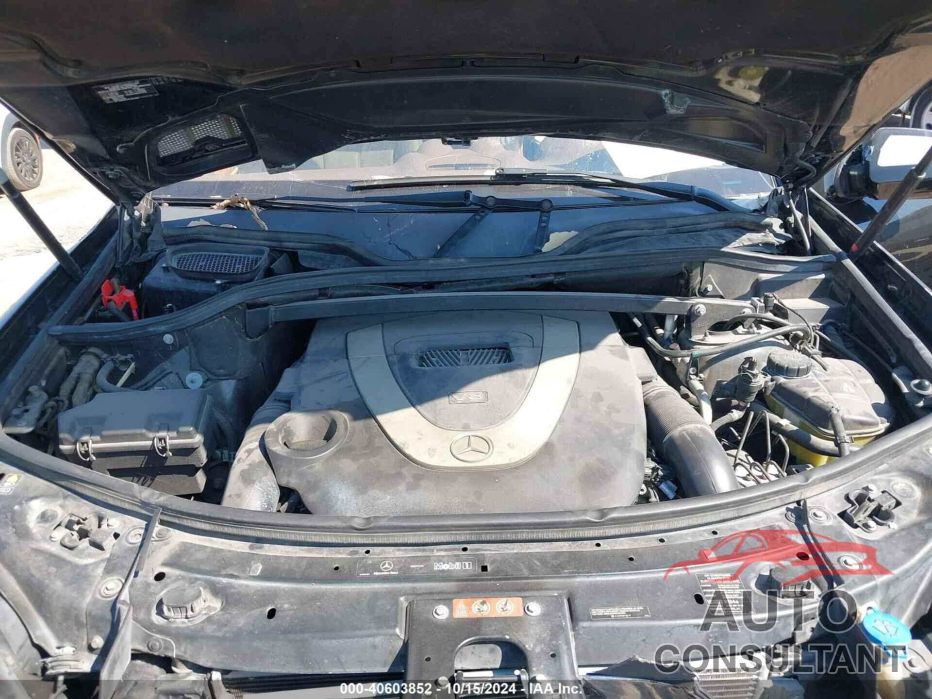 MERCEDES-BENZ GL 550 2009 - 4JGBF86E59A498918