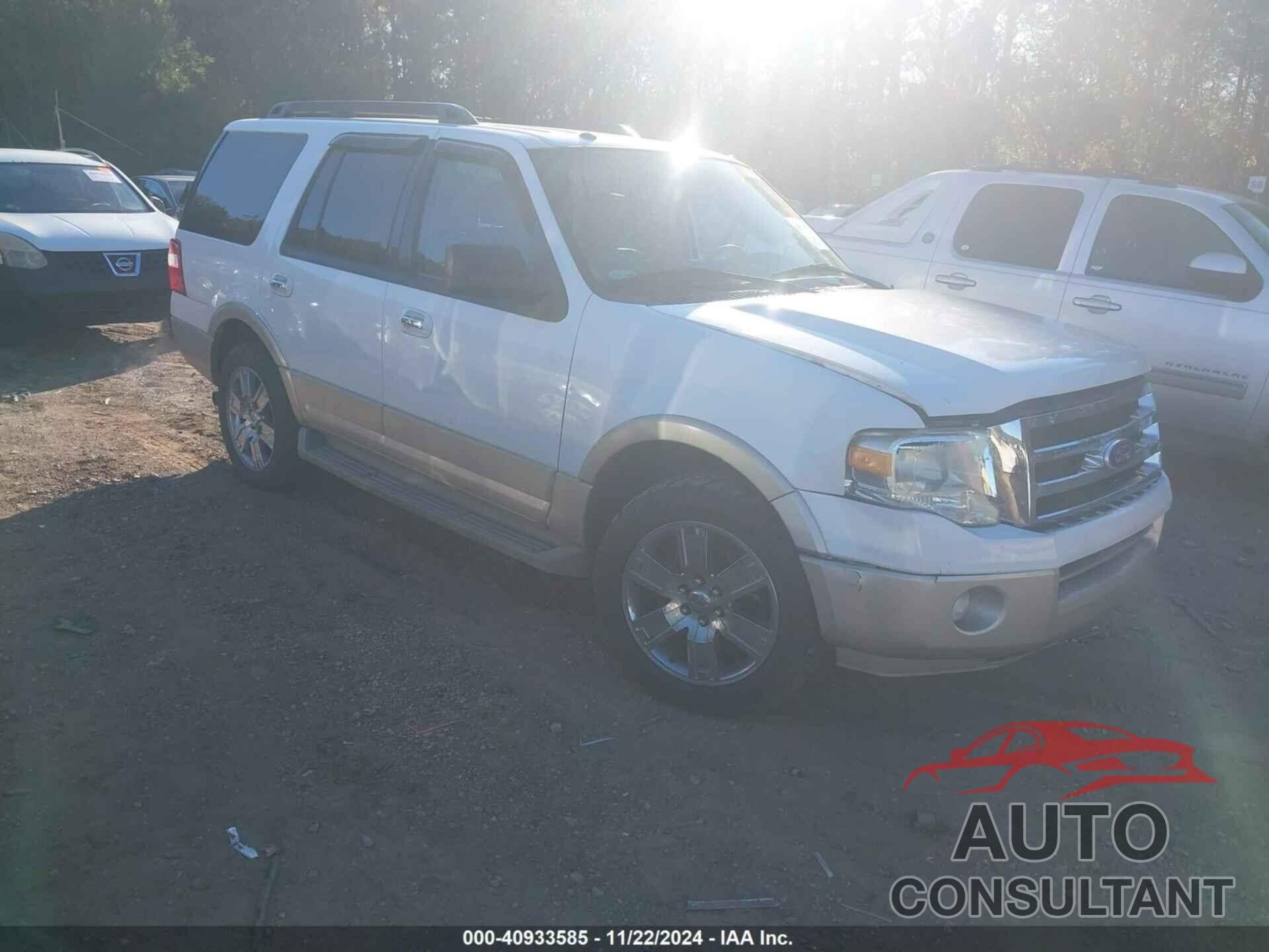 FORD EXPEDITION 2010 - 1FMJU1H5XAEB69523