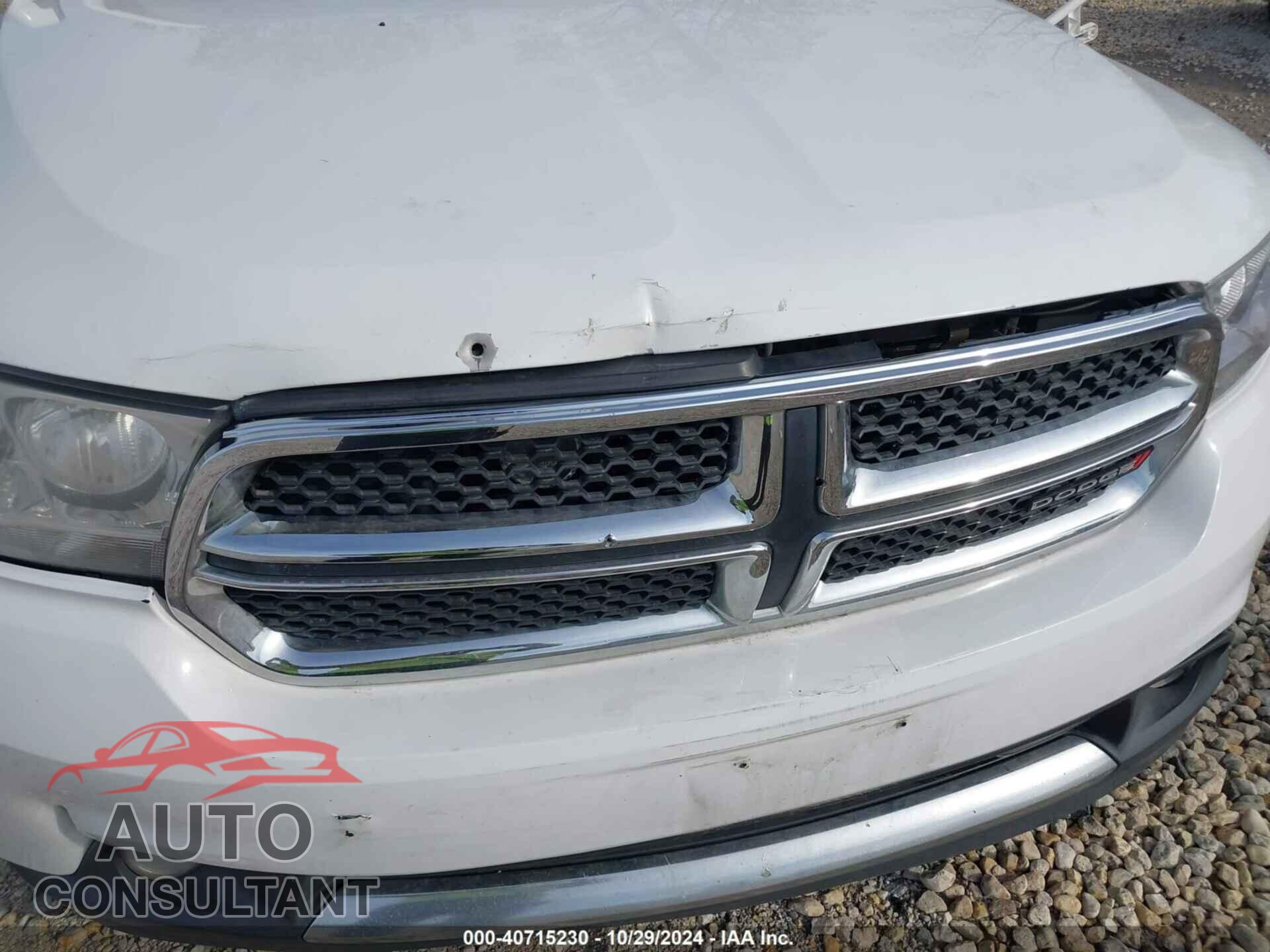 DODGE DURANGO 2013 - 1C4SDJDT6DC658224