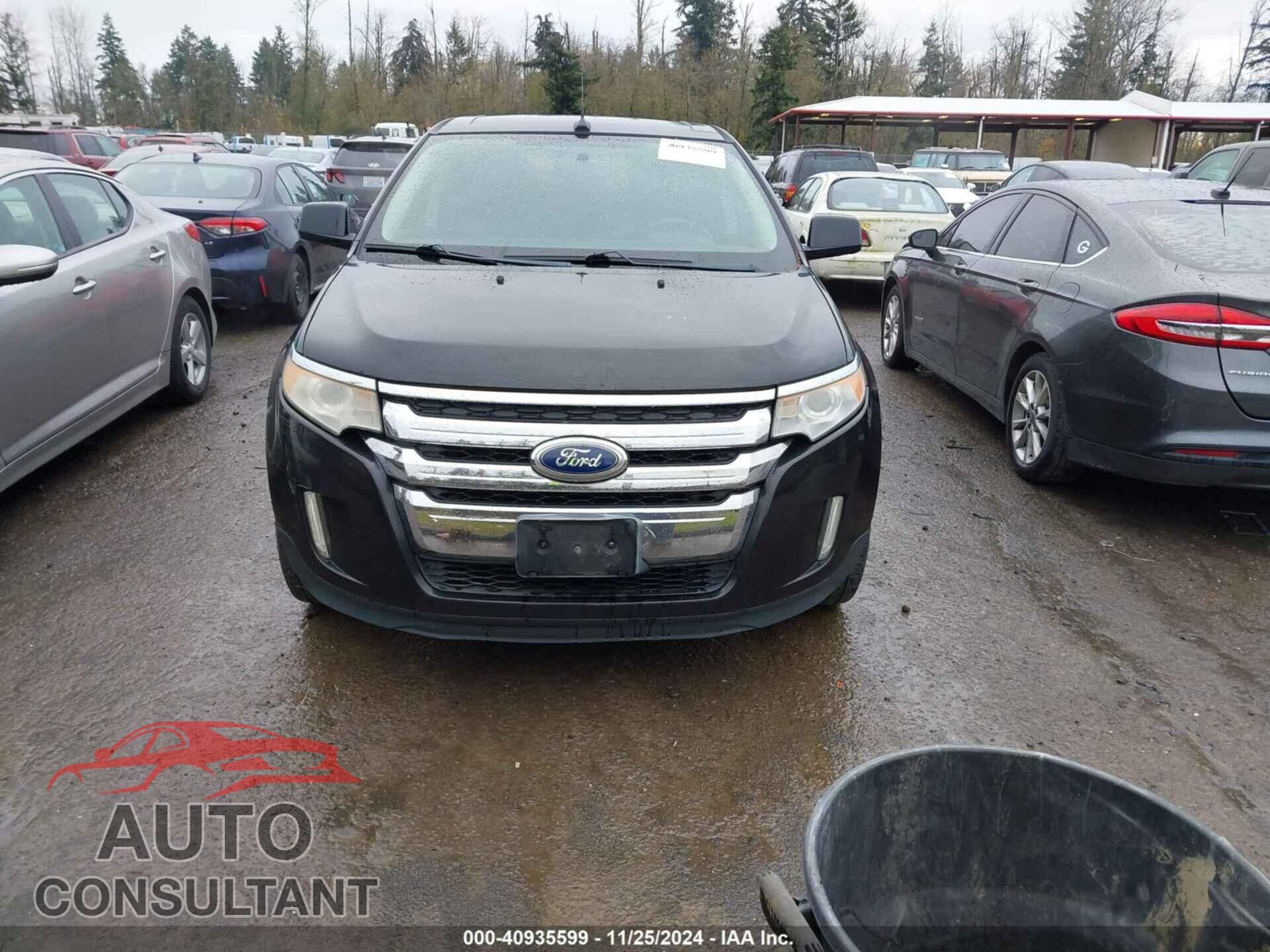 FORD EDGE 2011 - 2FMDK4KC8BBA83121