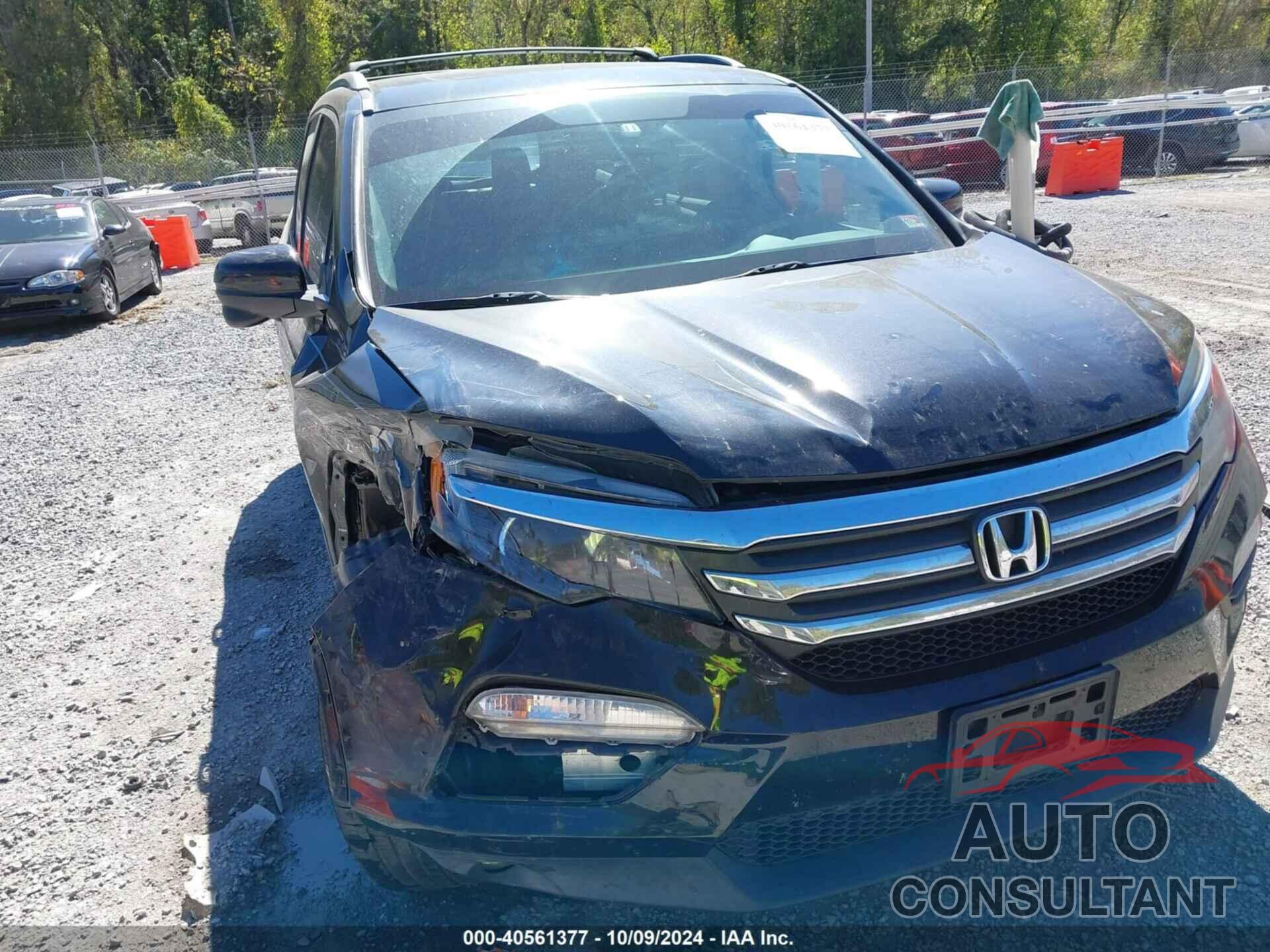 HONDA PILOT 2016 - 5FNYF6H54GB104569