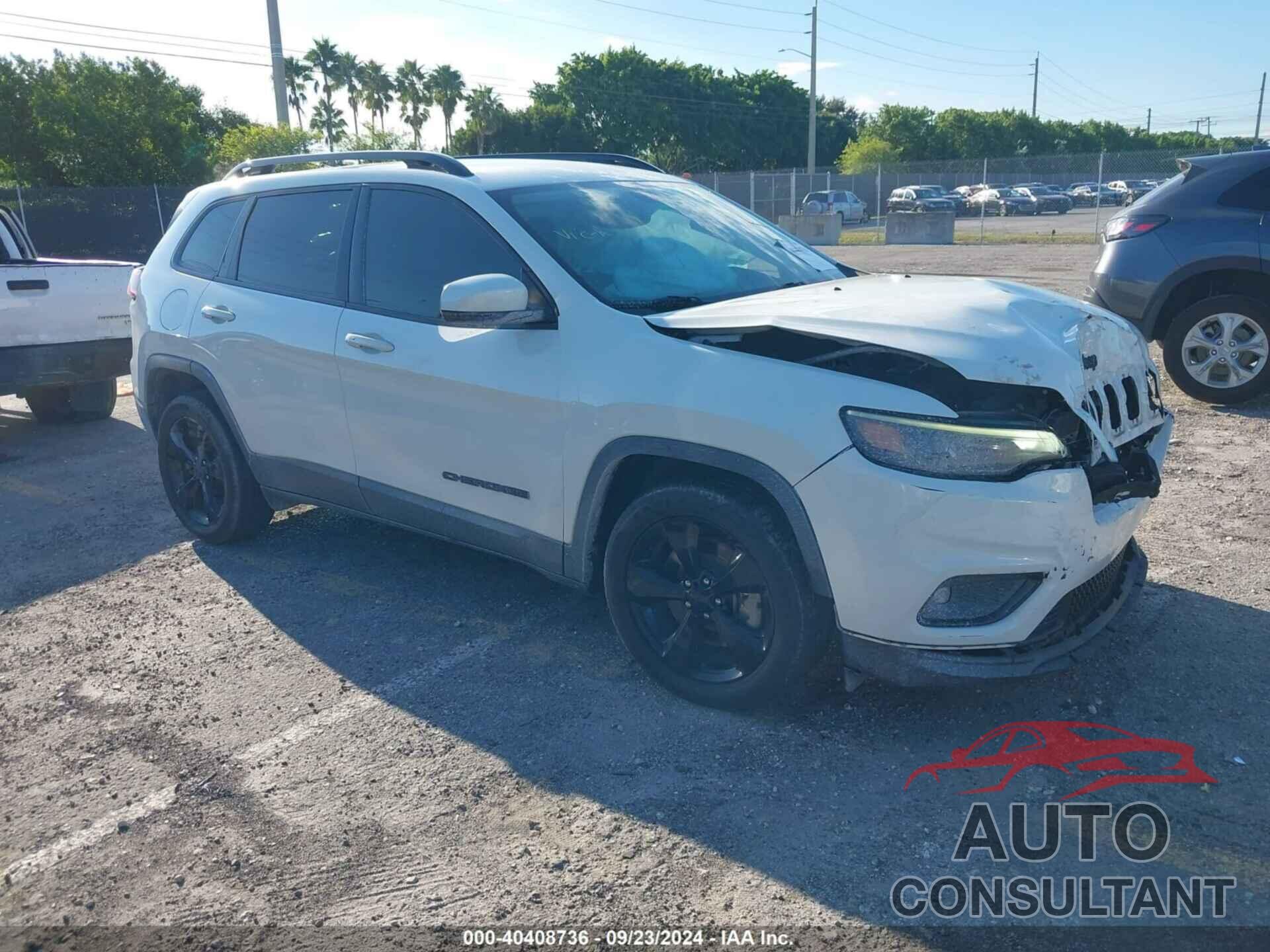 JEEP CHEROKEE 2019 - 1C4PJLLX1KD300860