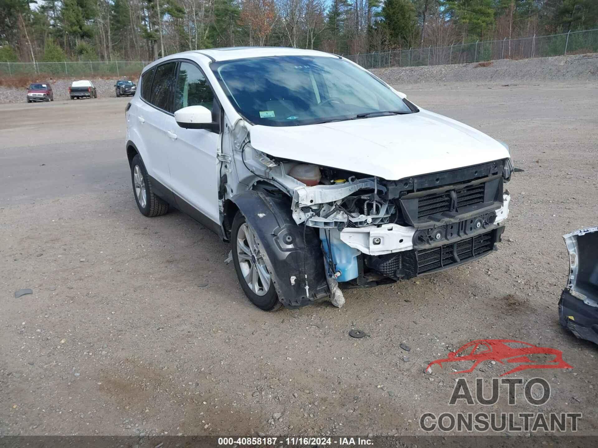 FORD ESCAPE 2017 - 1FMCU9G94HUD67011