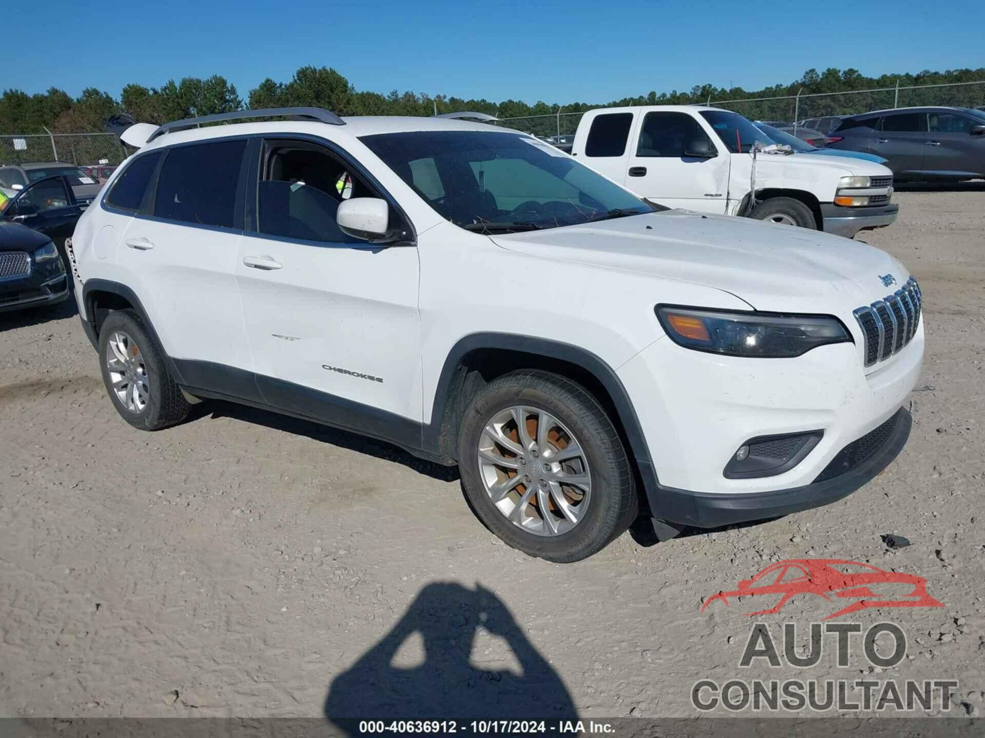 JEEP CHEROKEE 2019 - 1C4PJLCB4KD134449