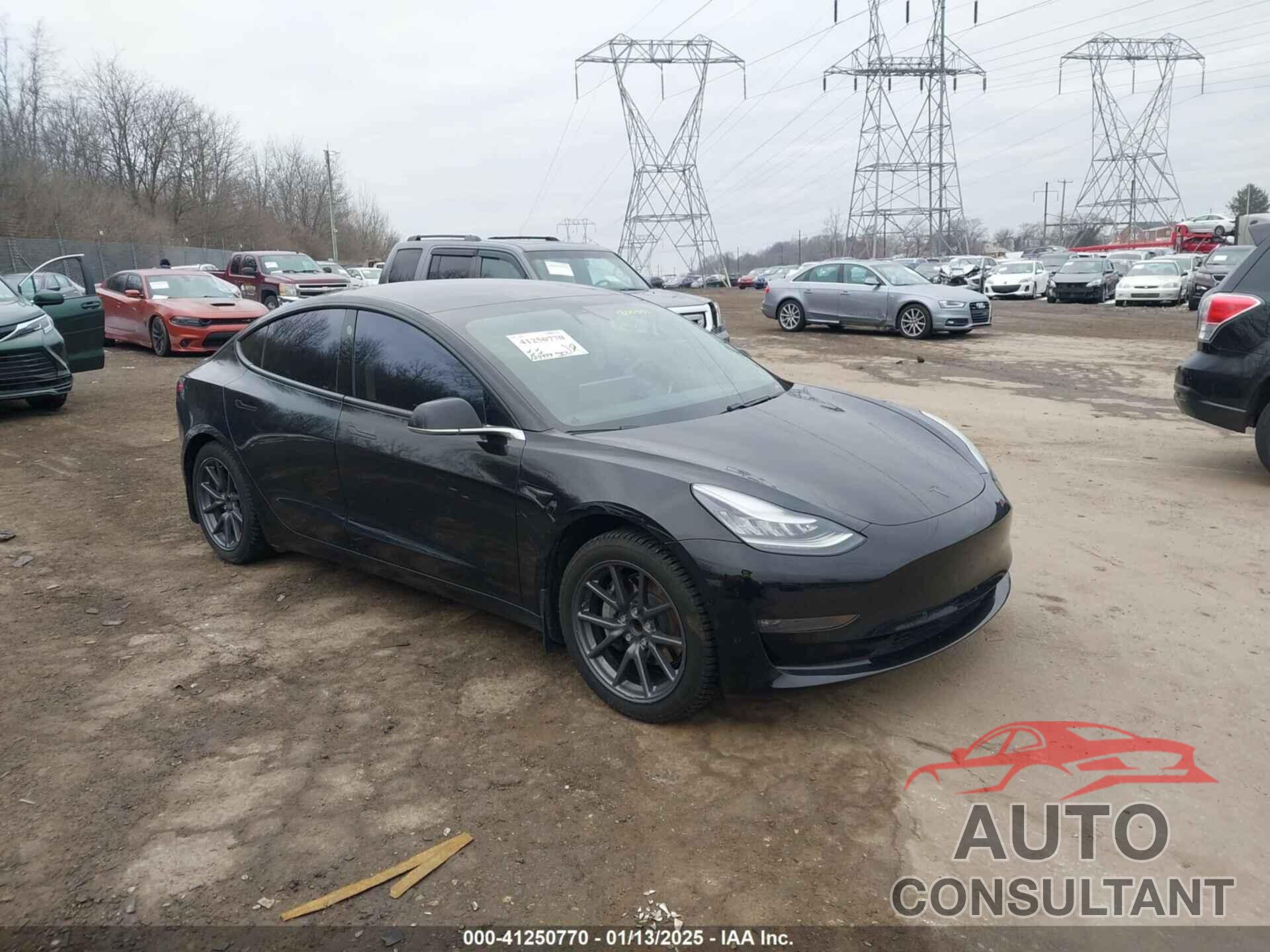 TESLA MODEL 3 2019 - 5YJ3E1EA1KF300351