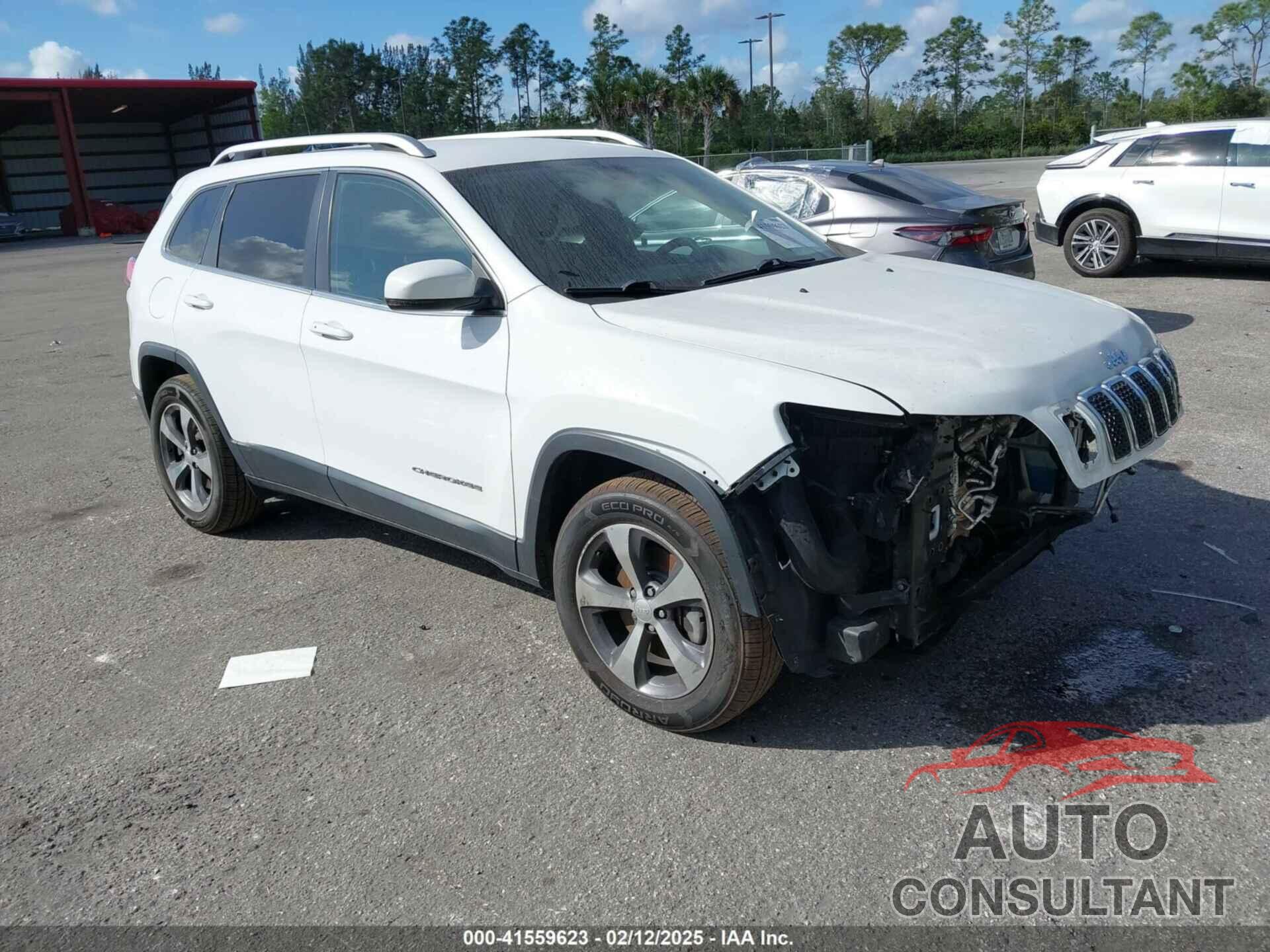 JEEP CHEROKEE 2019 - 1C4PJMDX2KD294782