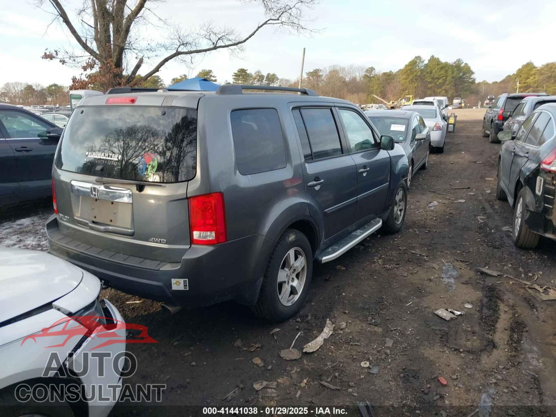 HONDA PILOT 2010 - 5FNYF4H53AB035529